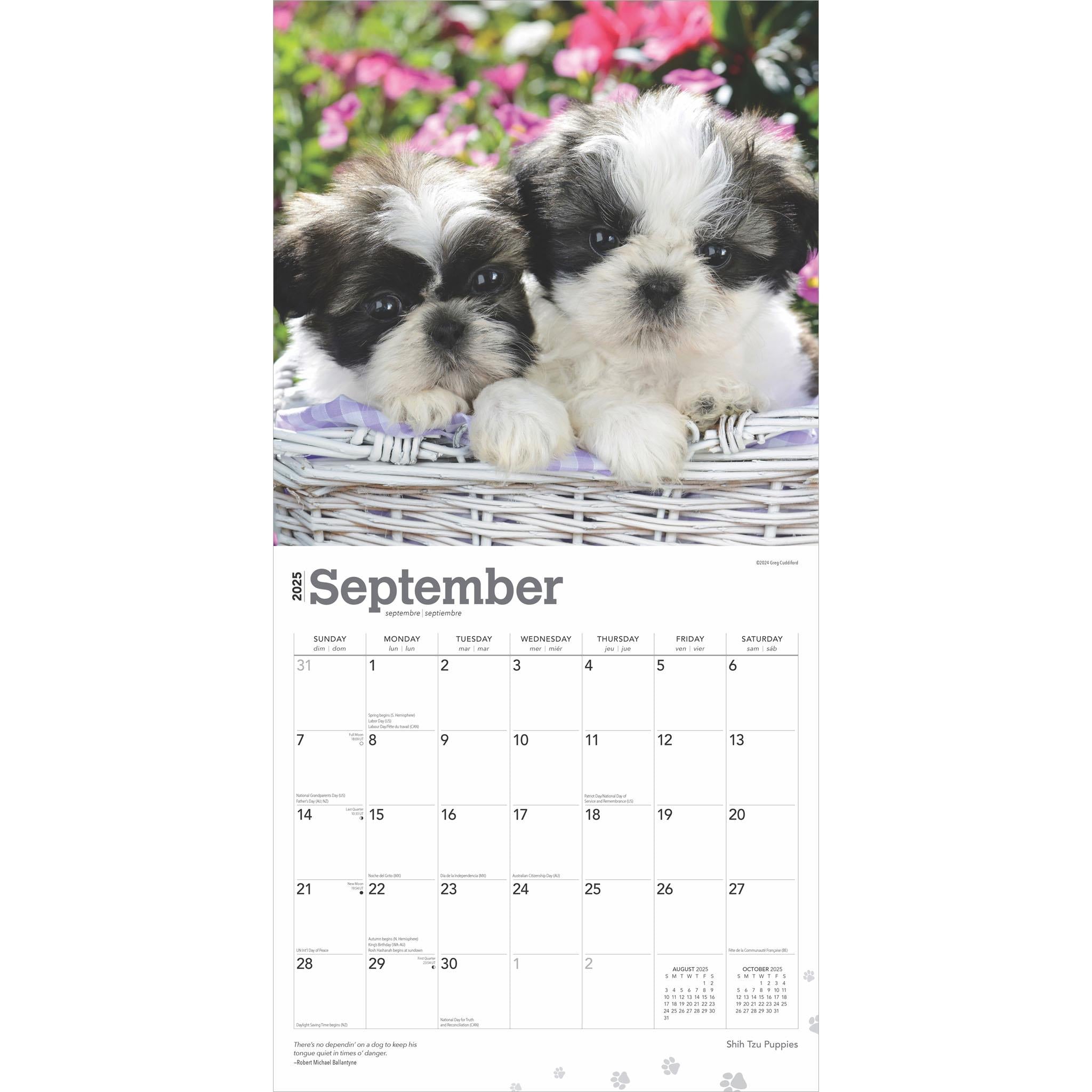 Shih Tzu Puppies Wall 2025 Calendar