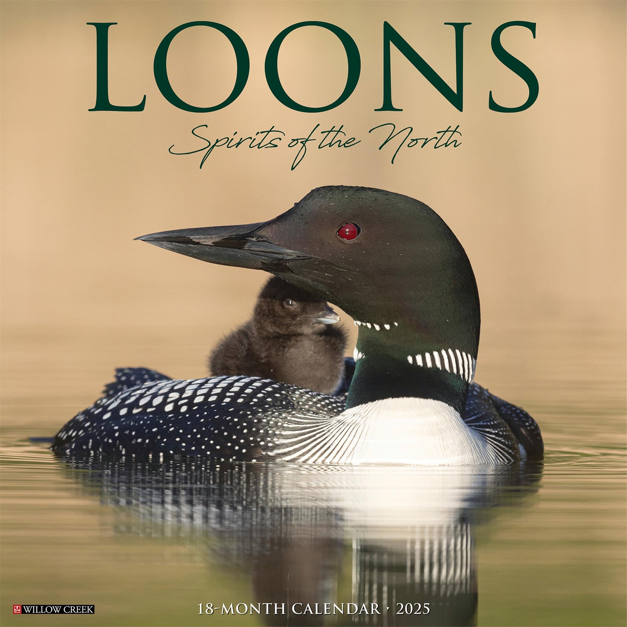 Loons Wall 2025 Calendar