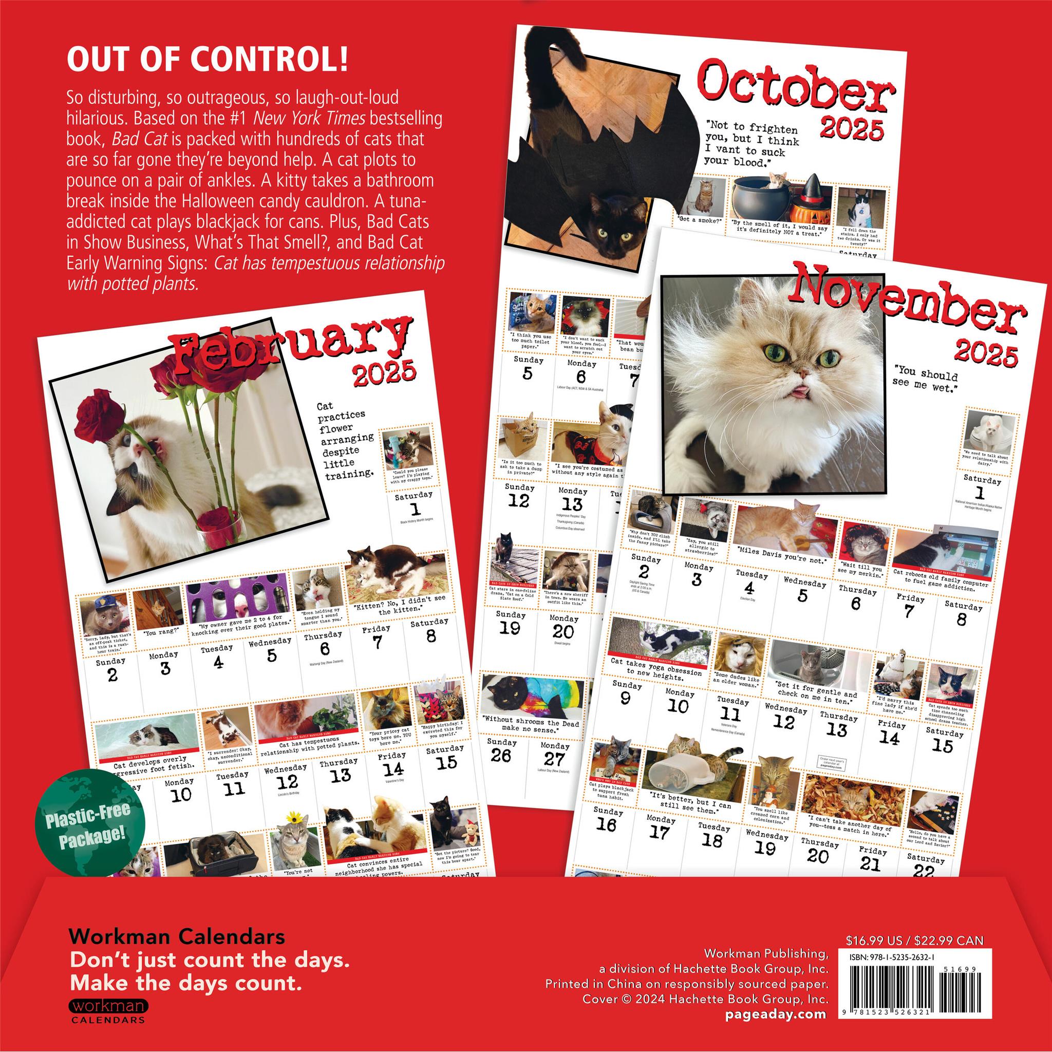 Bad Cat Wall 2025 Calendar - Online Exclusive