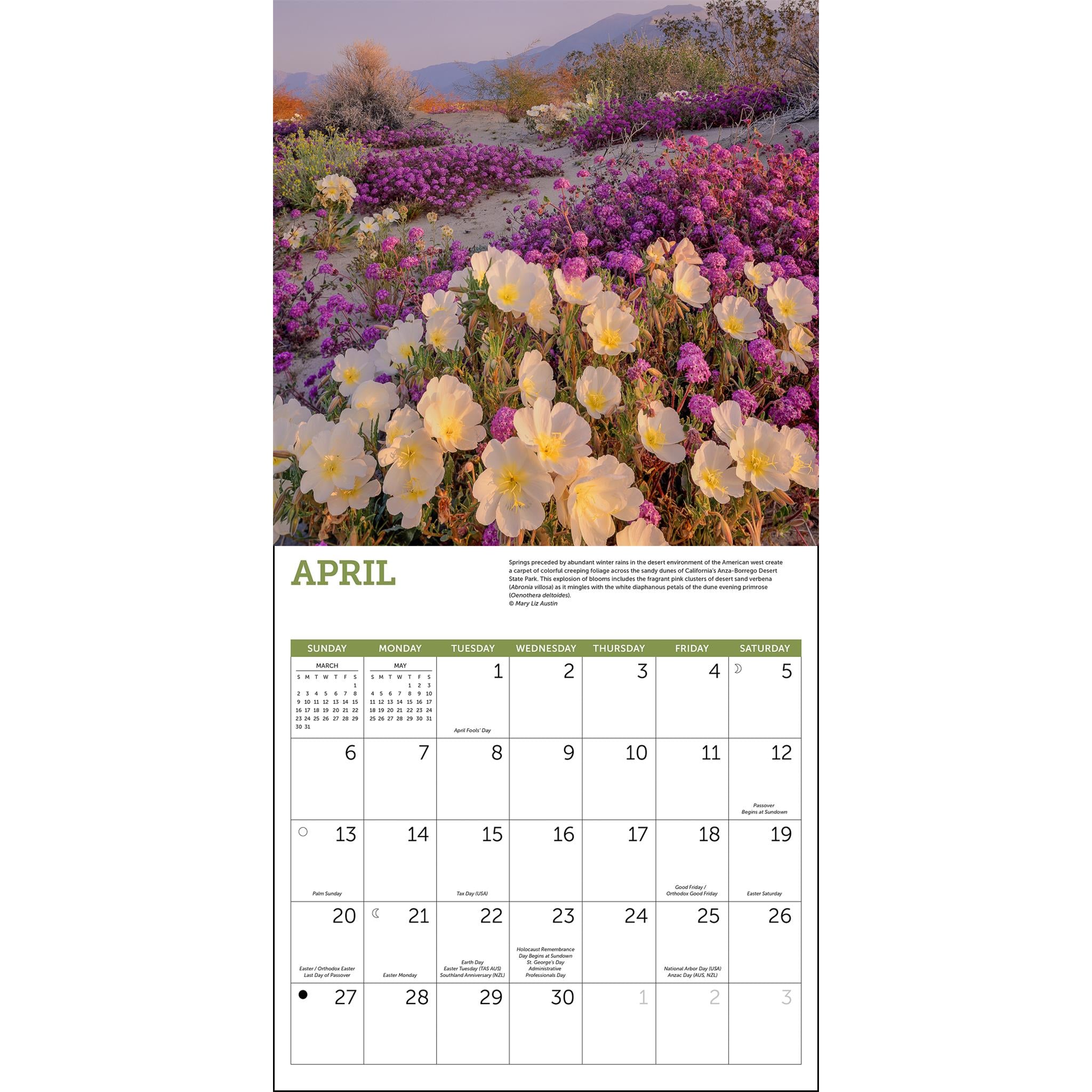 Wildflowers Wall 2025 Calendar