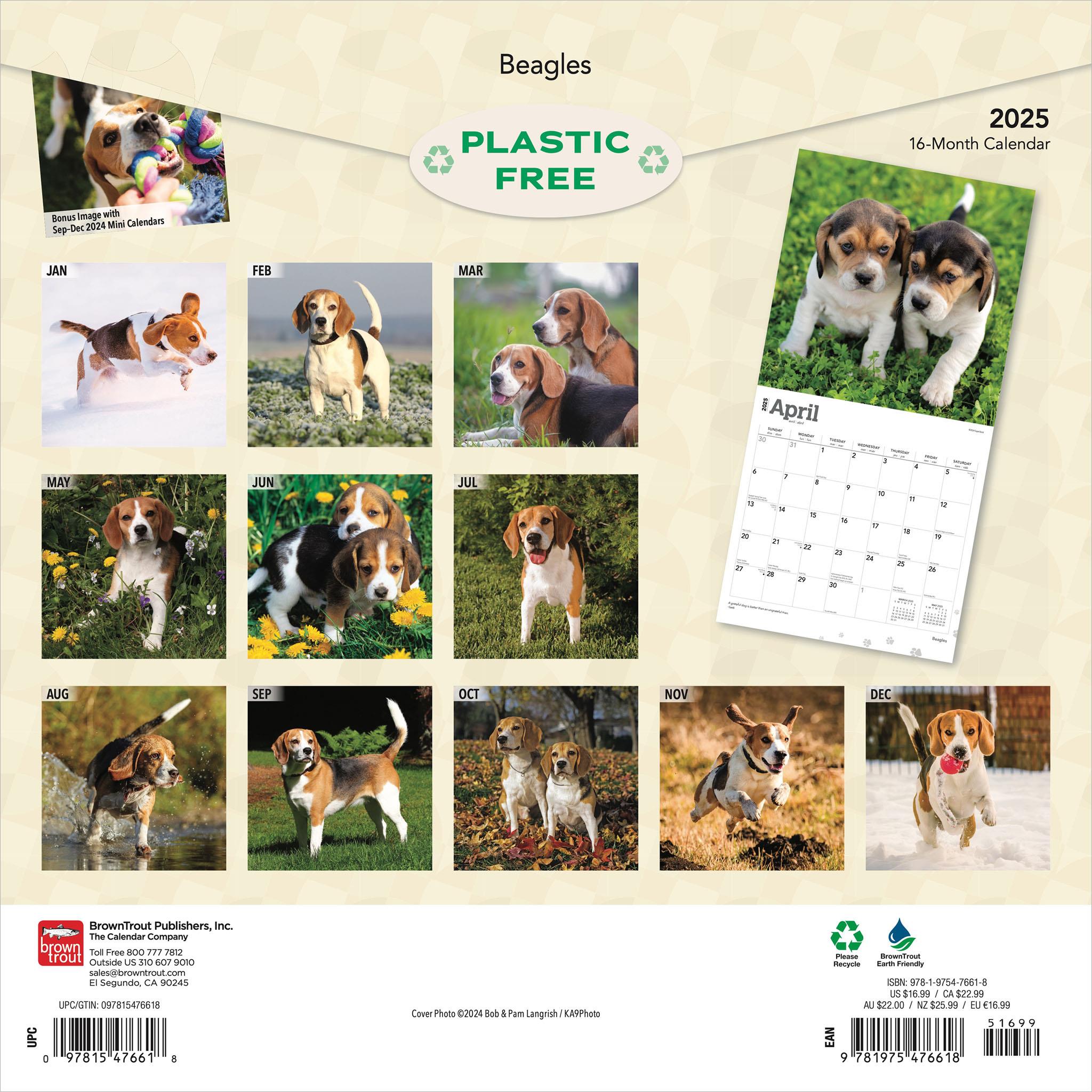 Beagles Wall 2025 Calendar