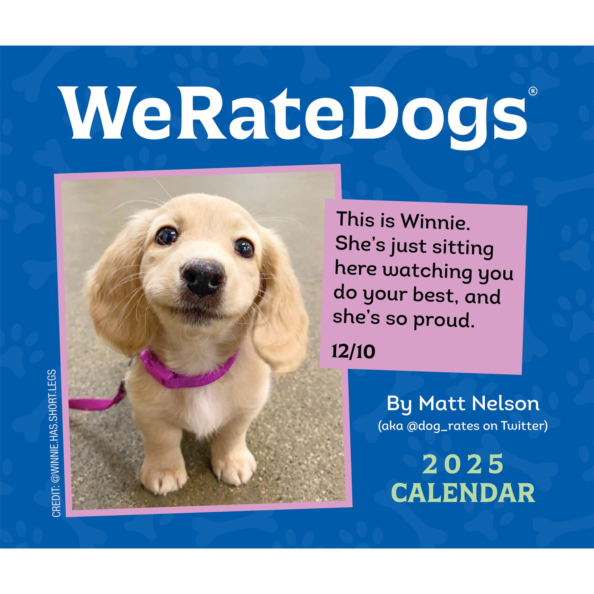 We Rate Dogs Box 2025 Calendar