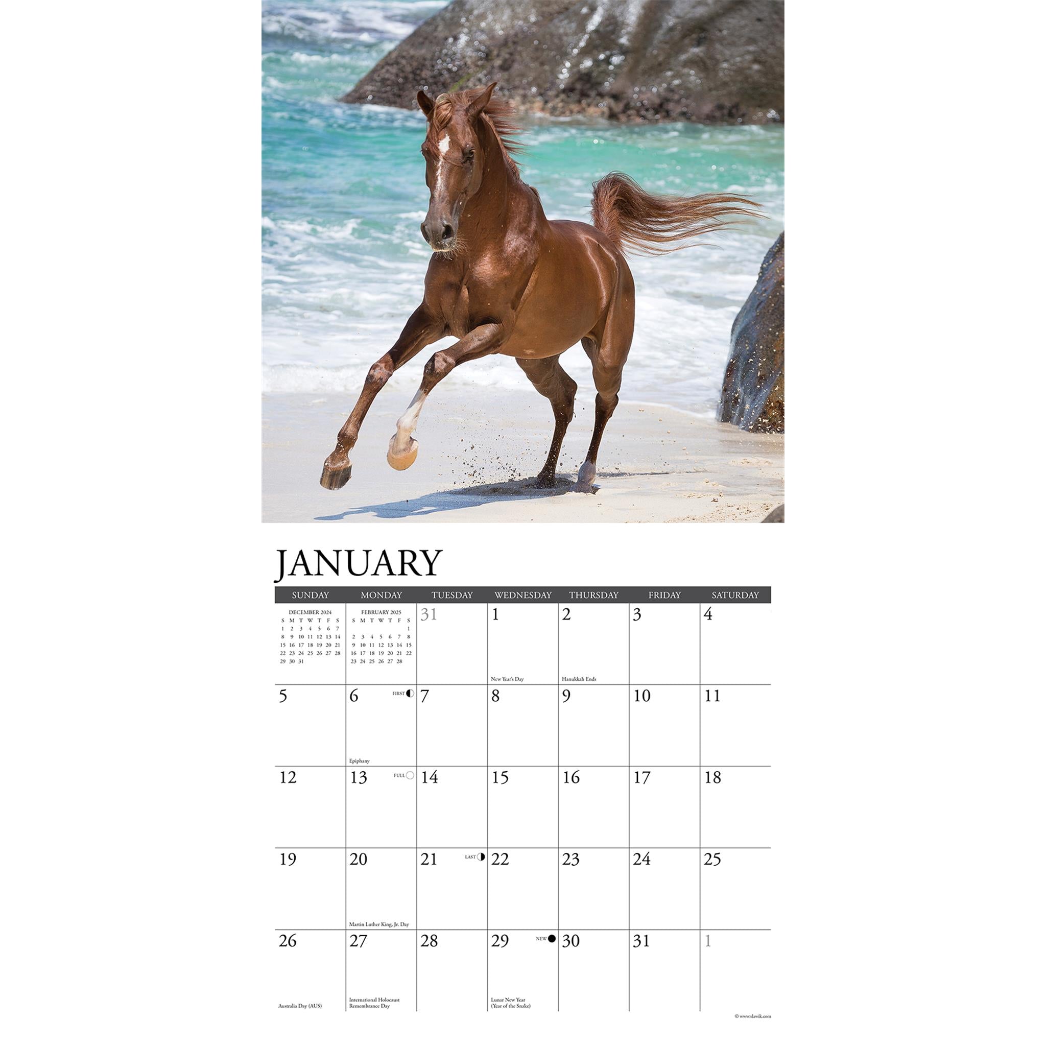 Arabians Wall 2025 Calendar - Online Exclusive