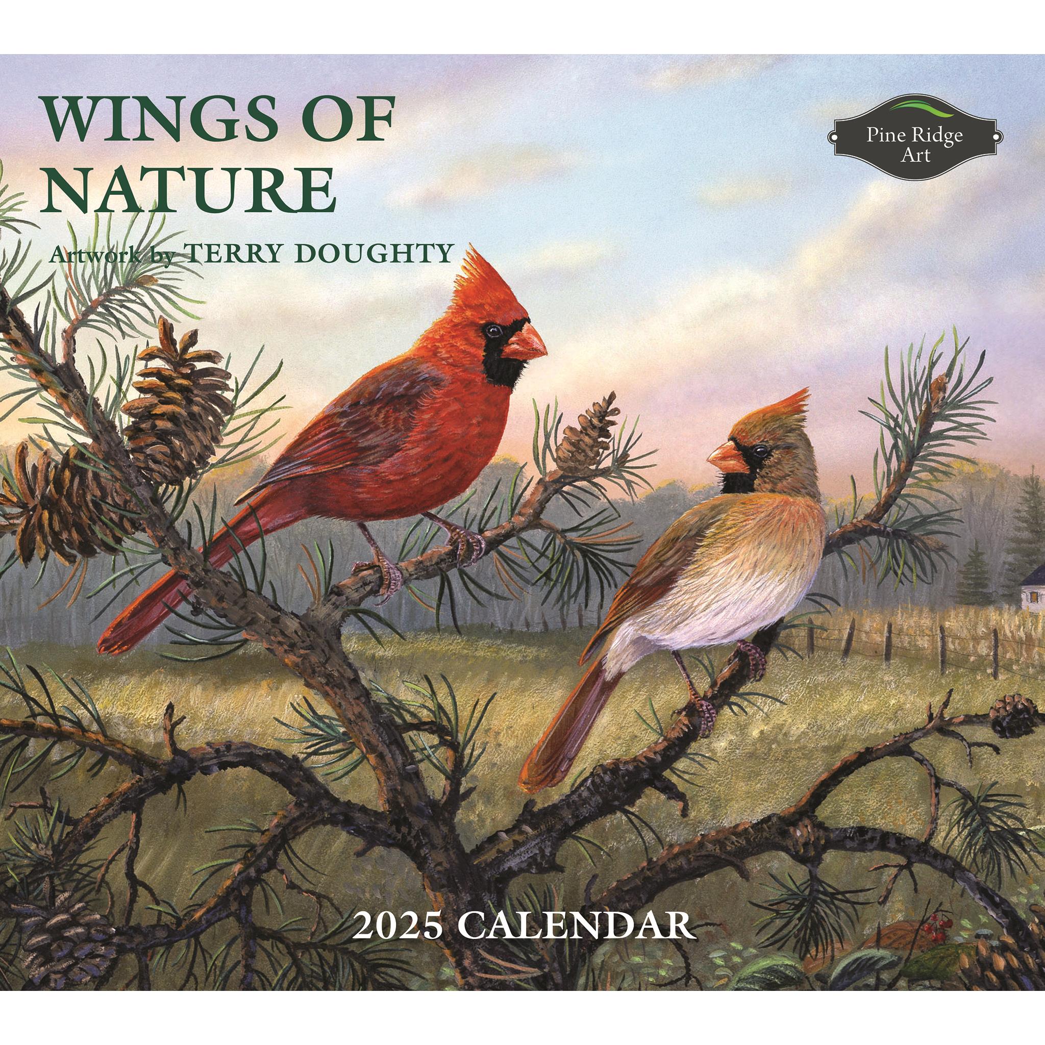 Wings Of Nature Wall 2025 Calendar