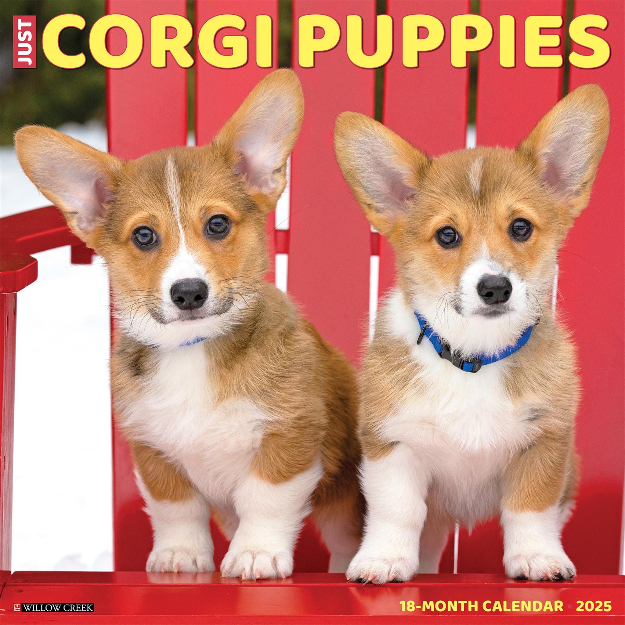 Just Corgi Puppies Wall 2025 Calendar