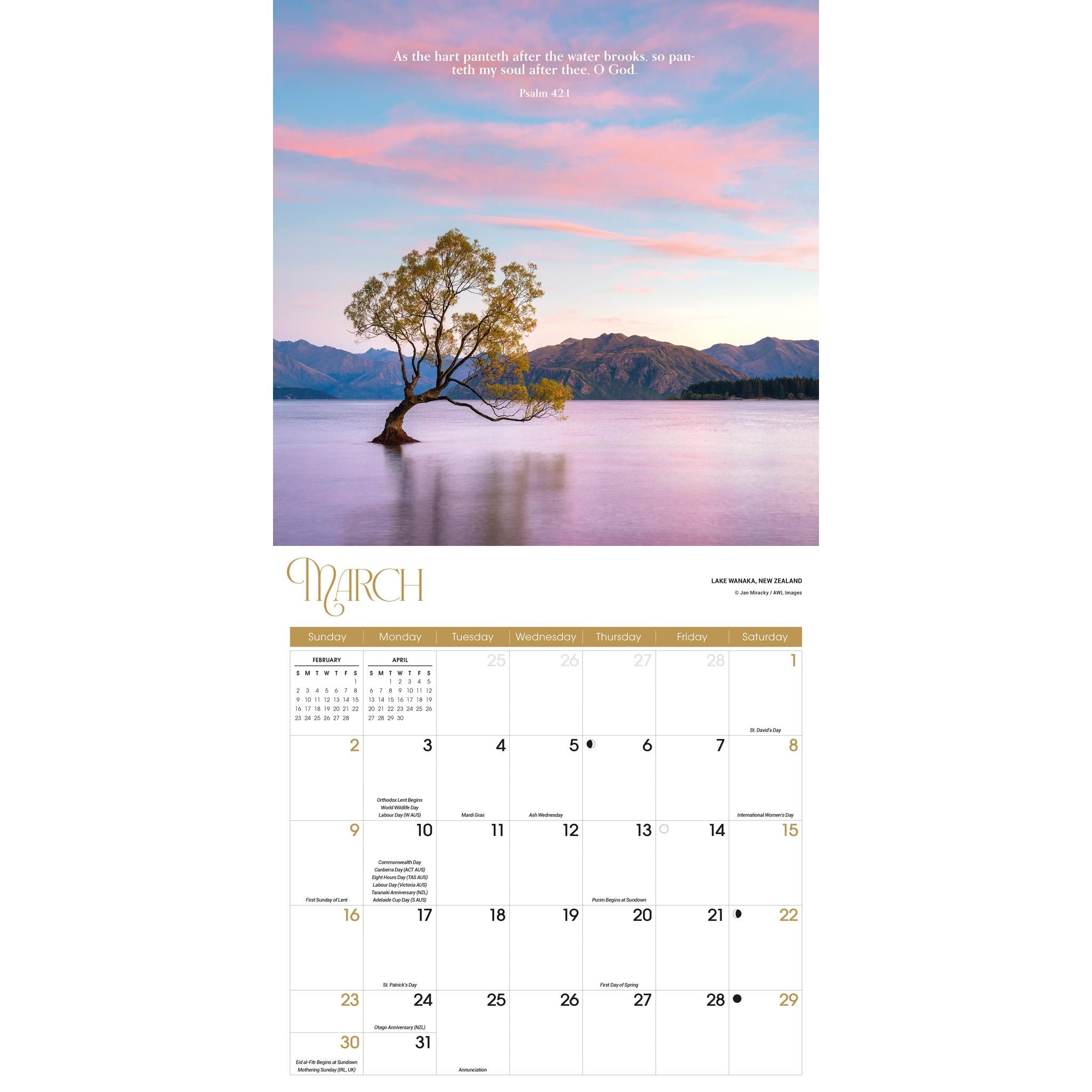 Psalms Wall 2025 Calendar