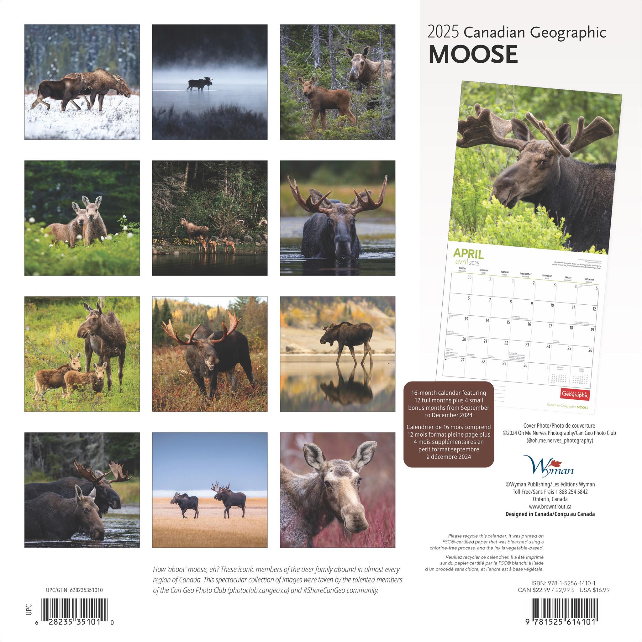 Moose Canadian Geographic Wall 2025 Calendar