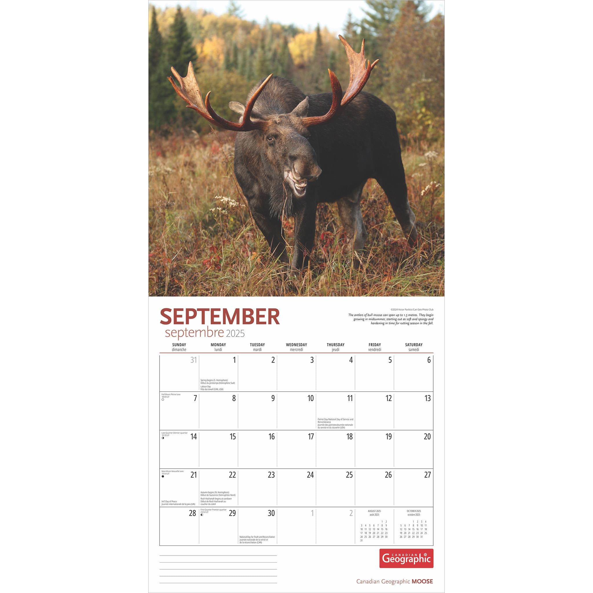 Moose Canadian Geographic Wall 2025 Calendar