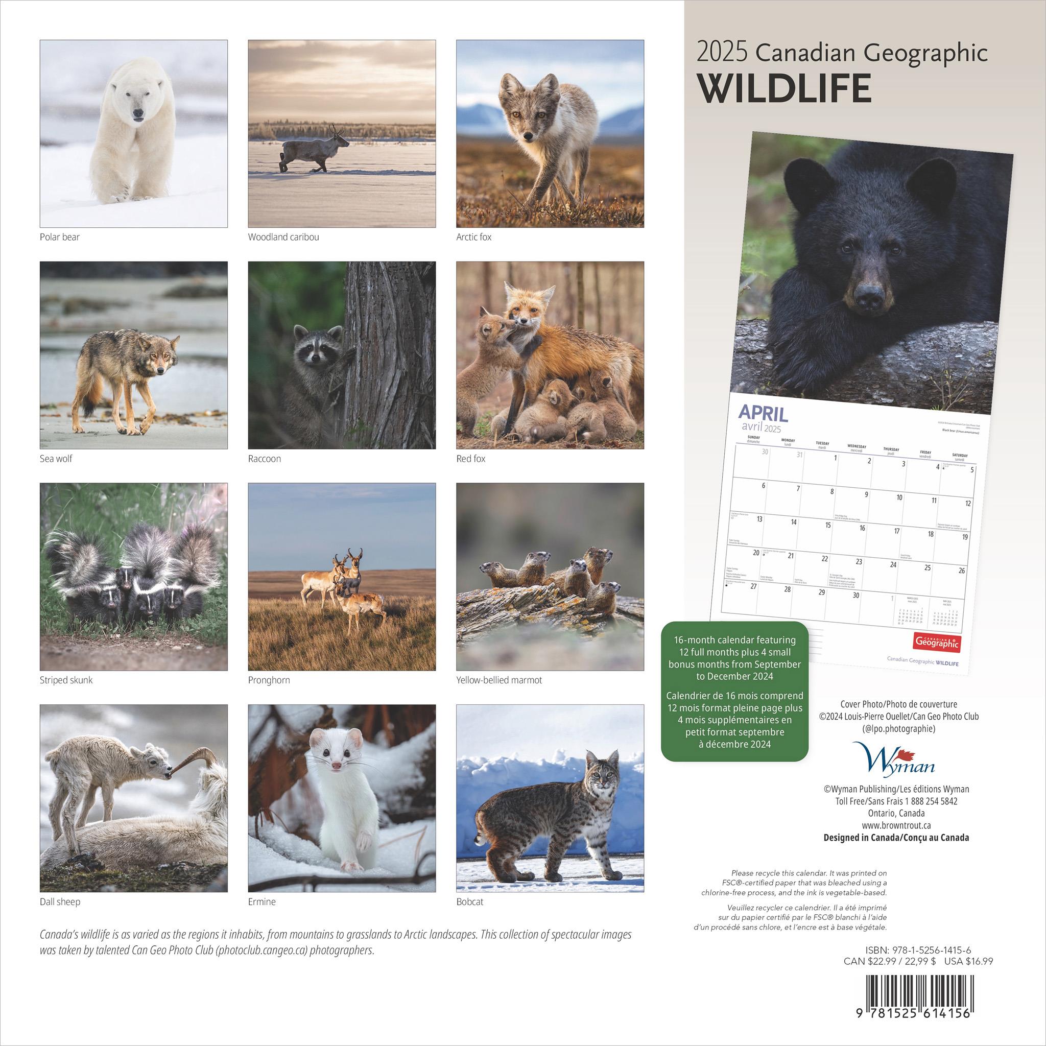 Wildlife Canadian Geographic Wall 2025 Calendar