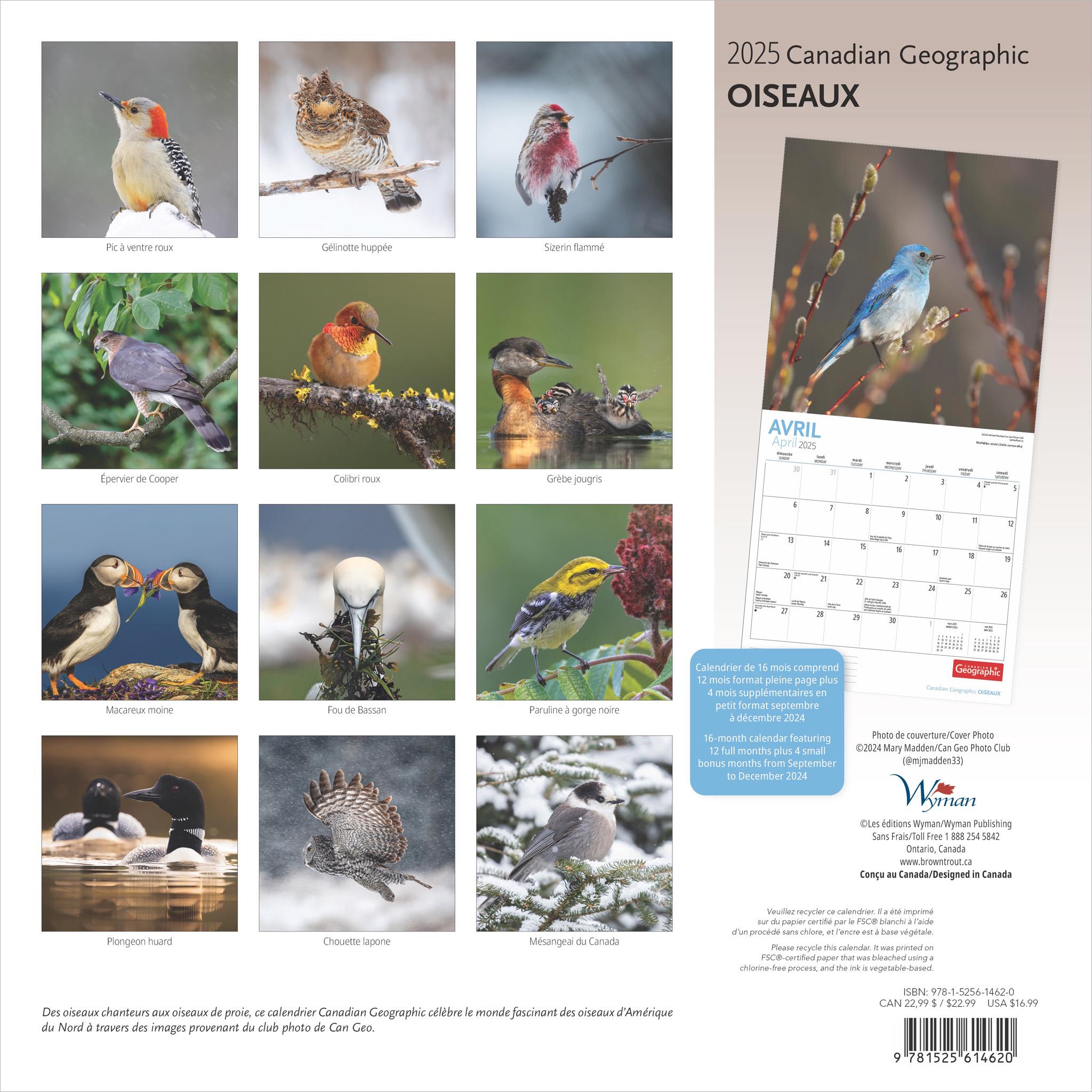 Oiseaux Birds Canadian Geographic Wall 2025 Calendar (French)