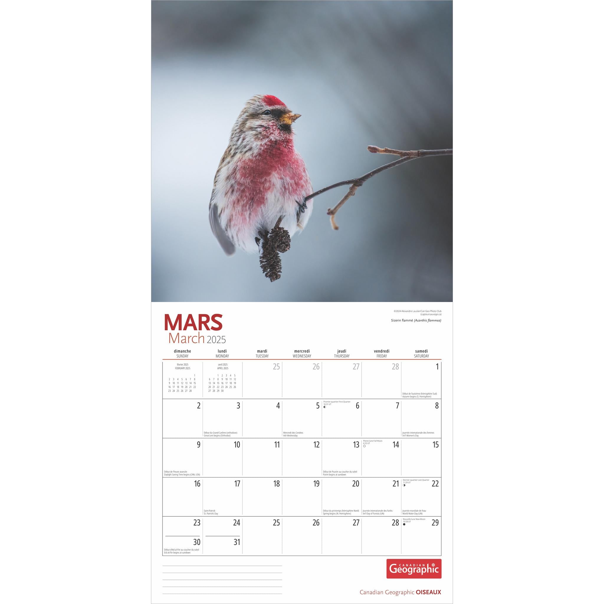 Oiseaux Birds Canadian Geographic Wall 2025 Calendar (French)