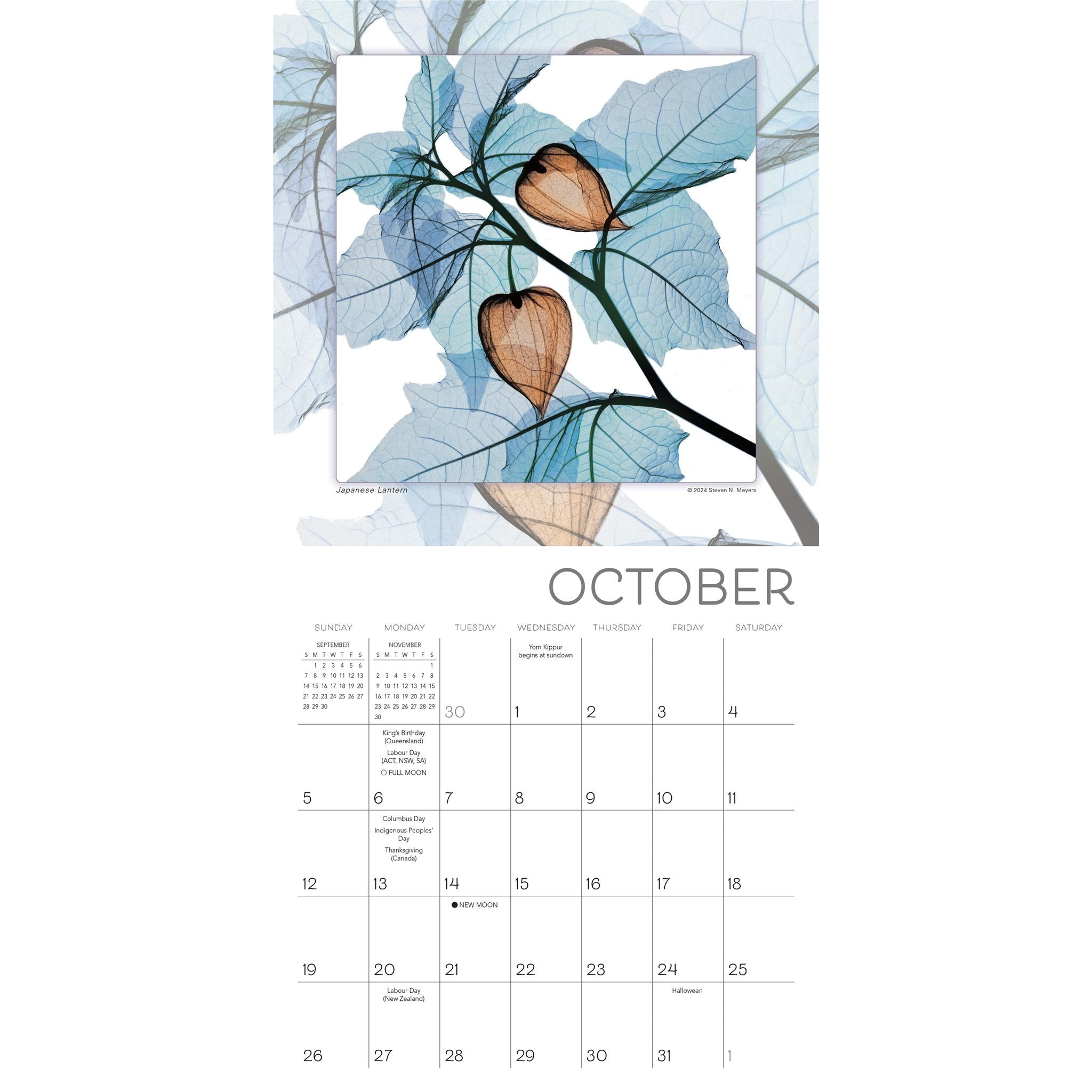 Flower Spirits Mini 2025 Calendar