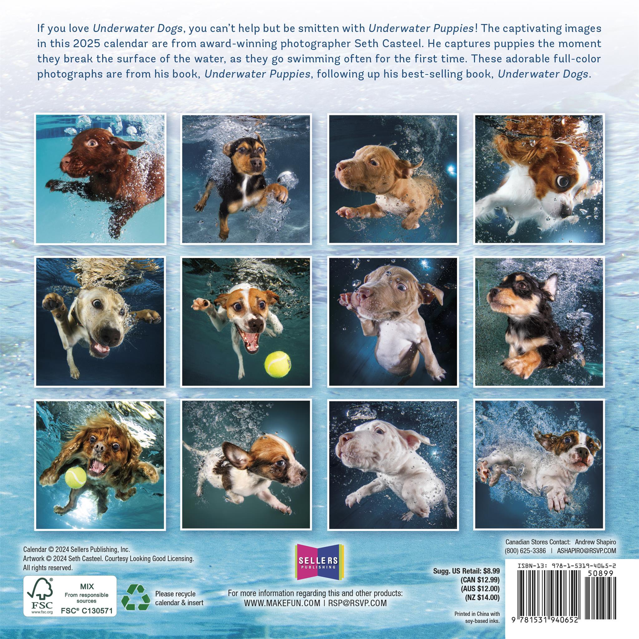 Underwater Puppies Mini 2025 Calendar