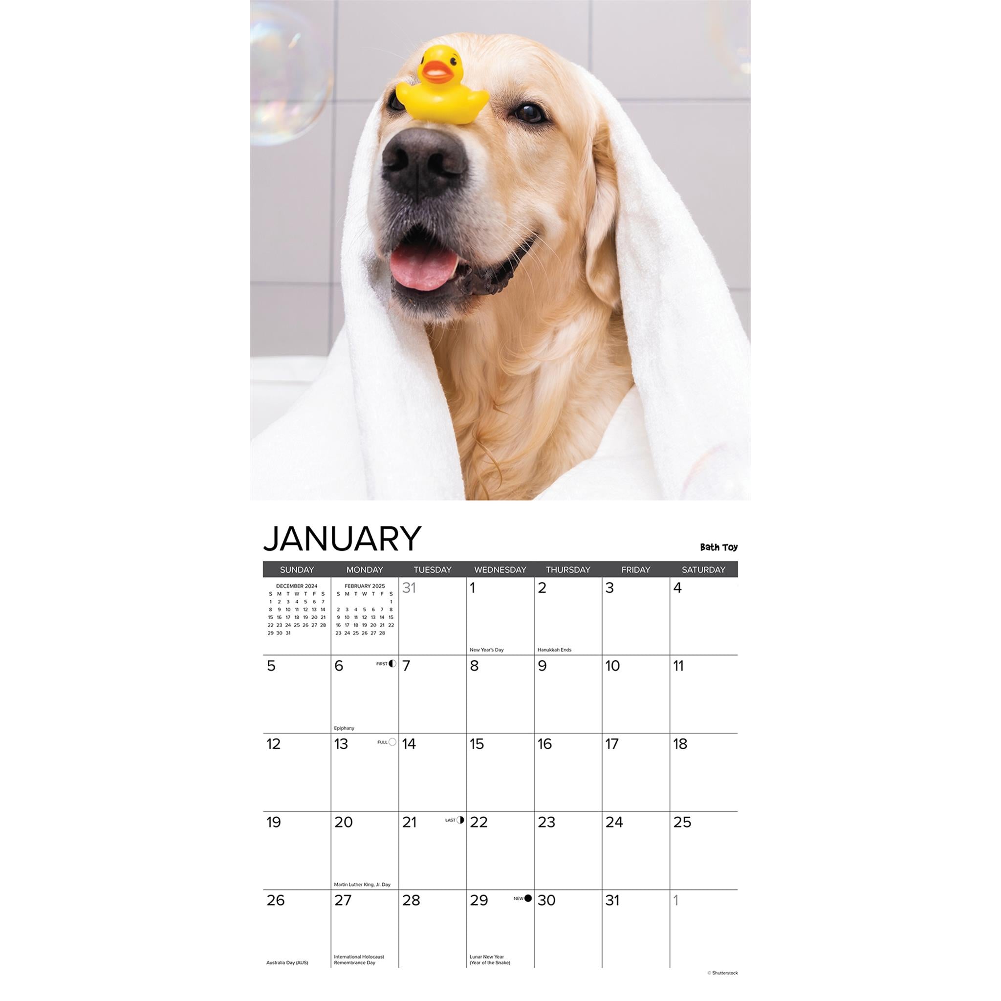 12 Uses for a Golden Wall 2025 Calendar