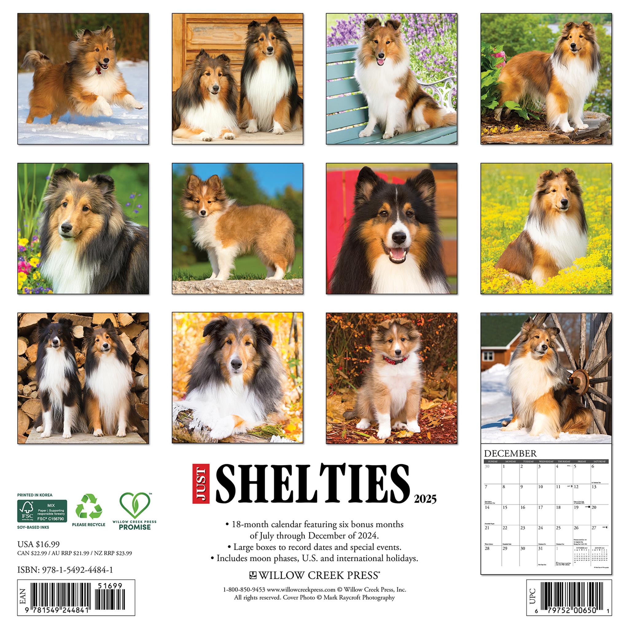 Just Shelties Wall 2025 Calendar