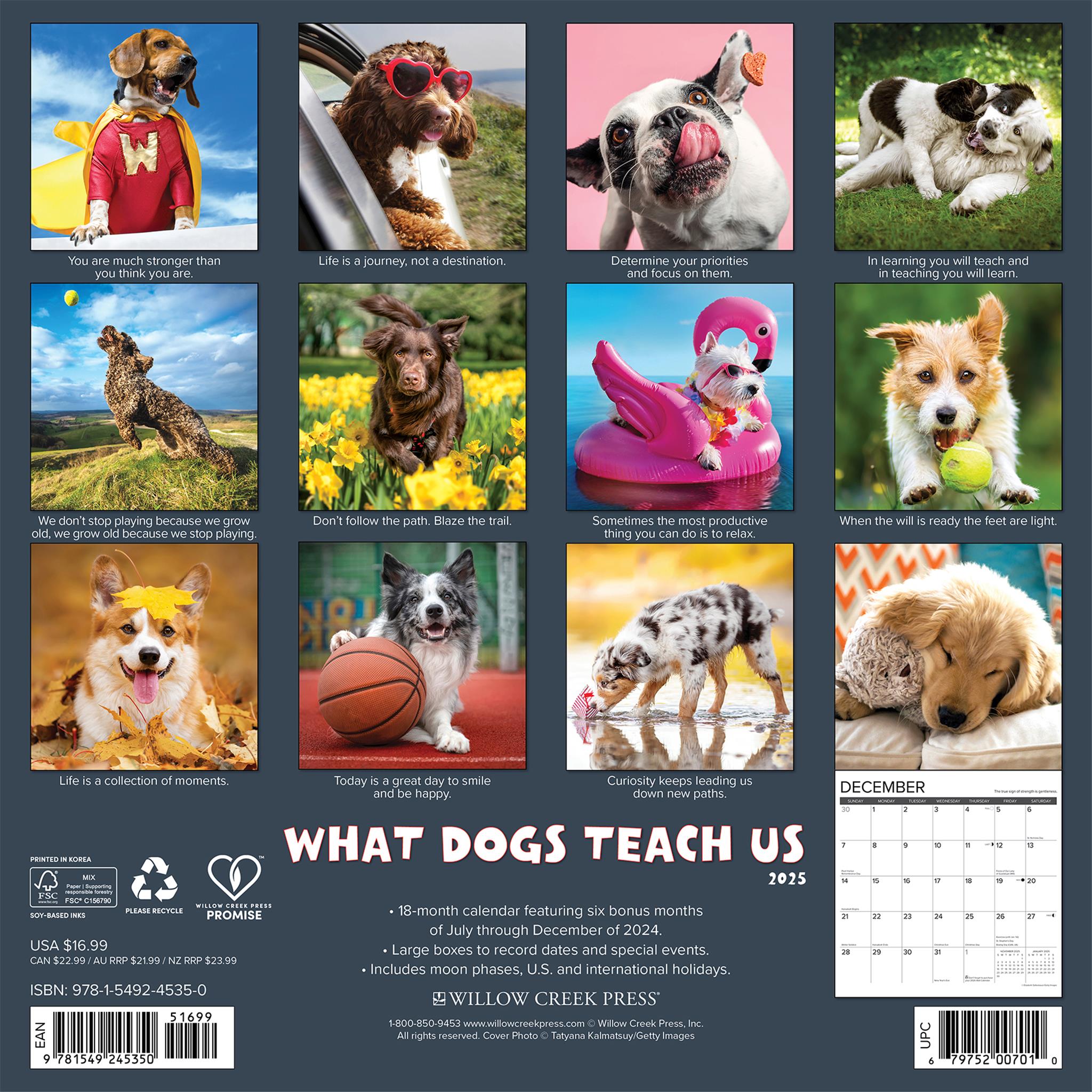 What Dogs Teach Us Wall 2025 Calendar