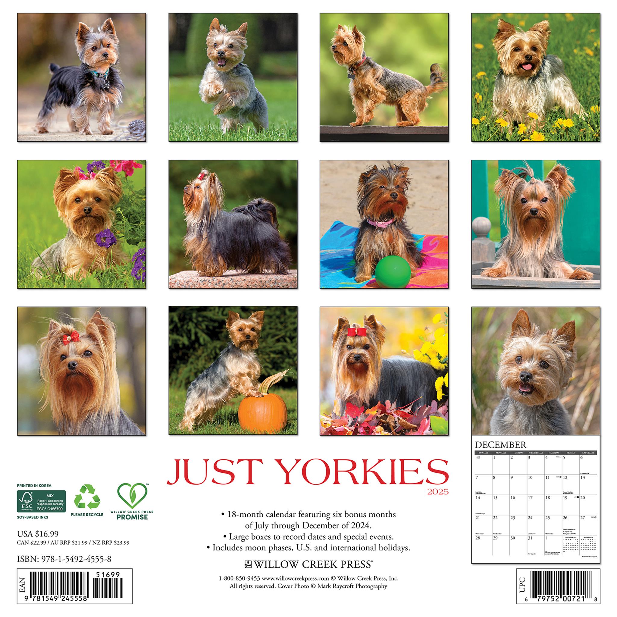 Just Yorkies Wall 2025 Calendar