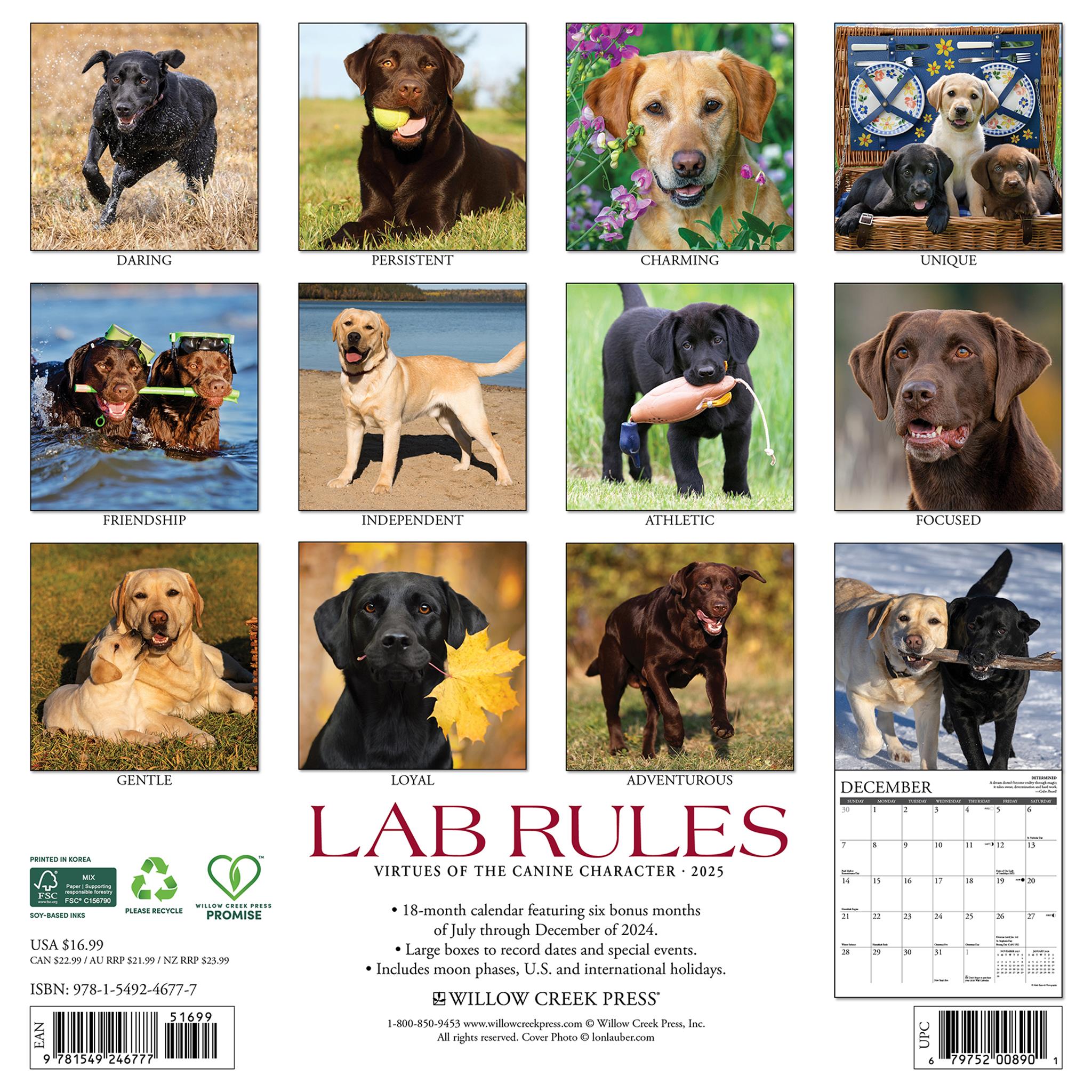 Lab Rules Wall 2025 Calendar