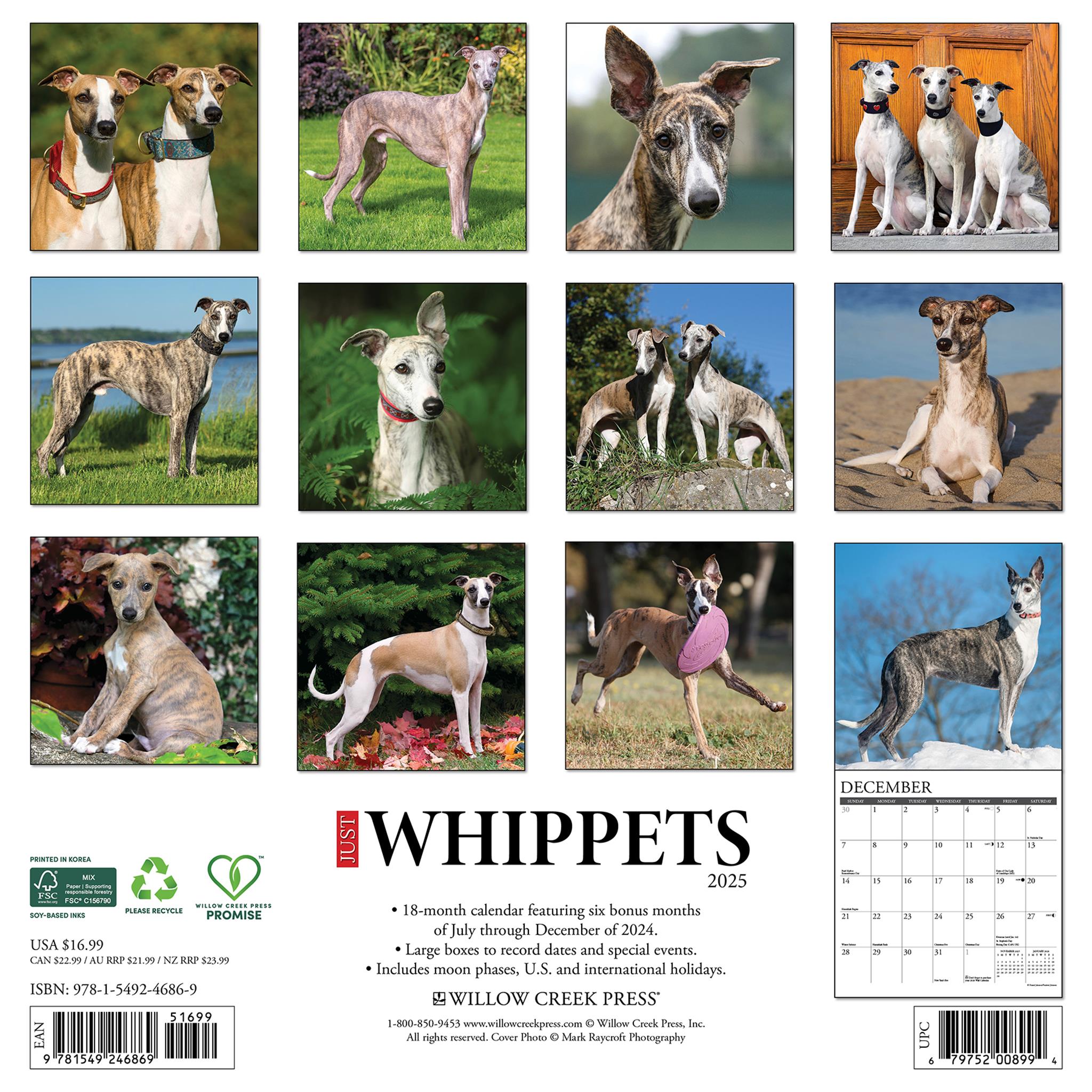 Just Whippets Wall 2025 Calendar