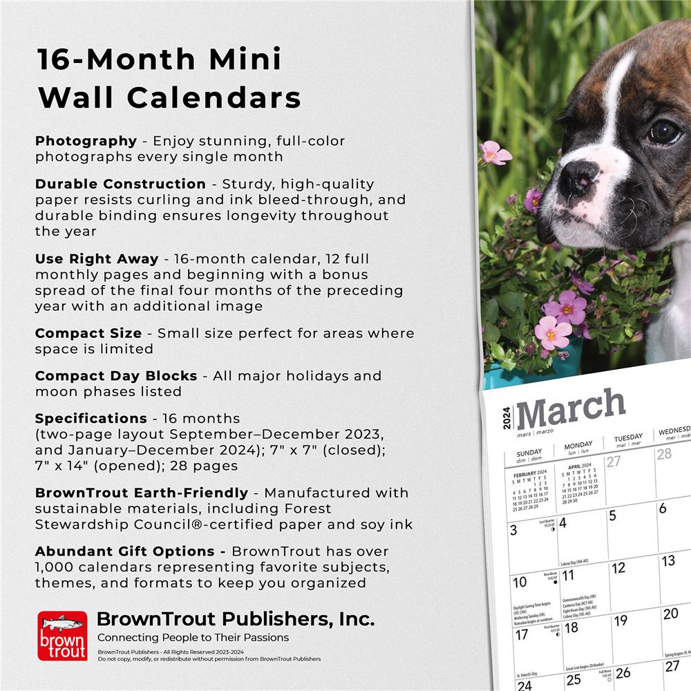 9781975461928 Boxer Puppies 2024 Mini Calendar BrownTrout - Calendar Club