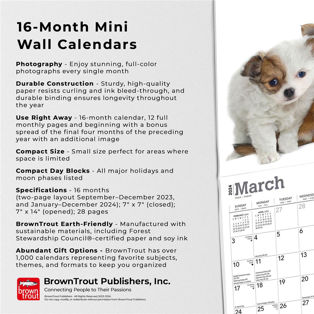 Boxer Puppies, 2024 7 x 14 Inch Monthly Mini Wall Calendar, BrownTrout