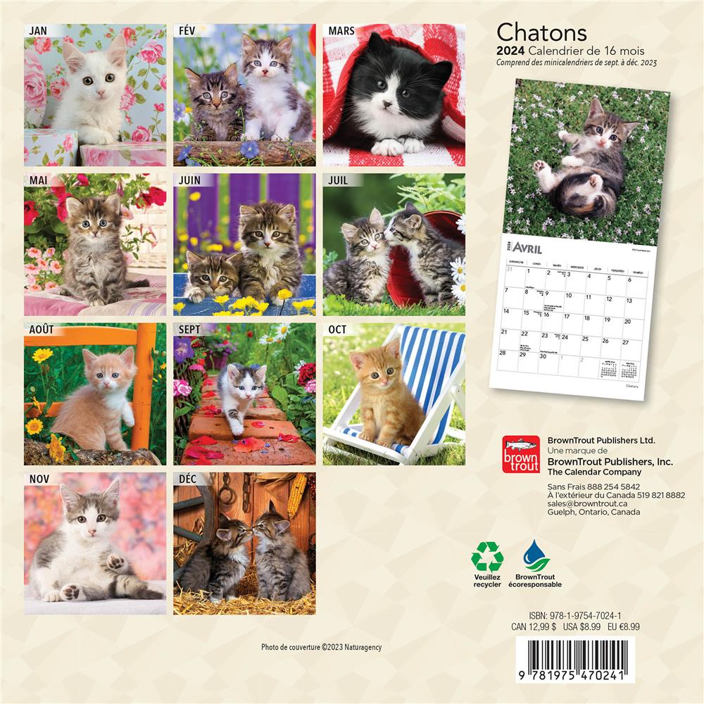 Calendrier chatons 2024 - cartonné - Collectif - Achat Livre