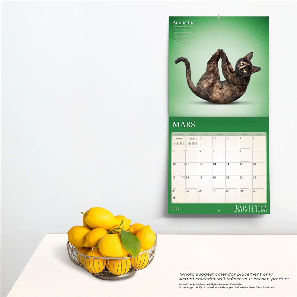 Les Chats calendrier 2024 - Métive - Multicolore 30 x 29 cm : Calendriers  MÉTIVE maison - botanic®