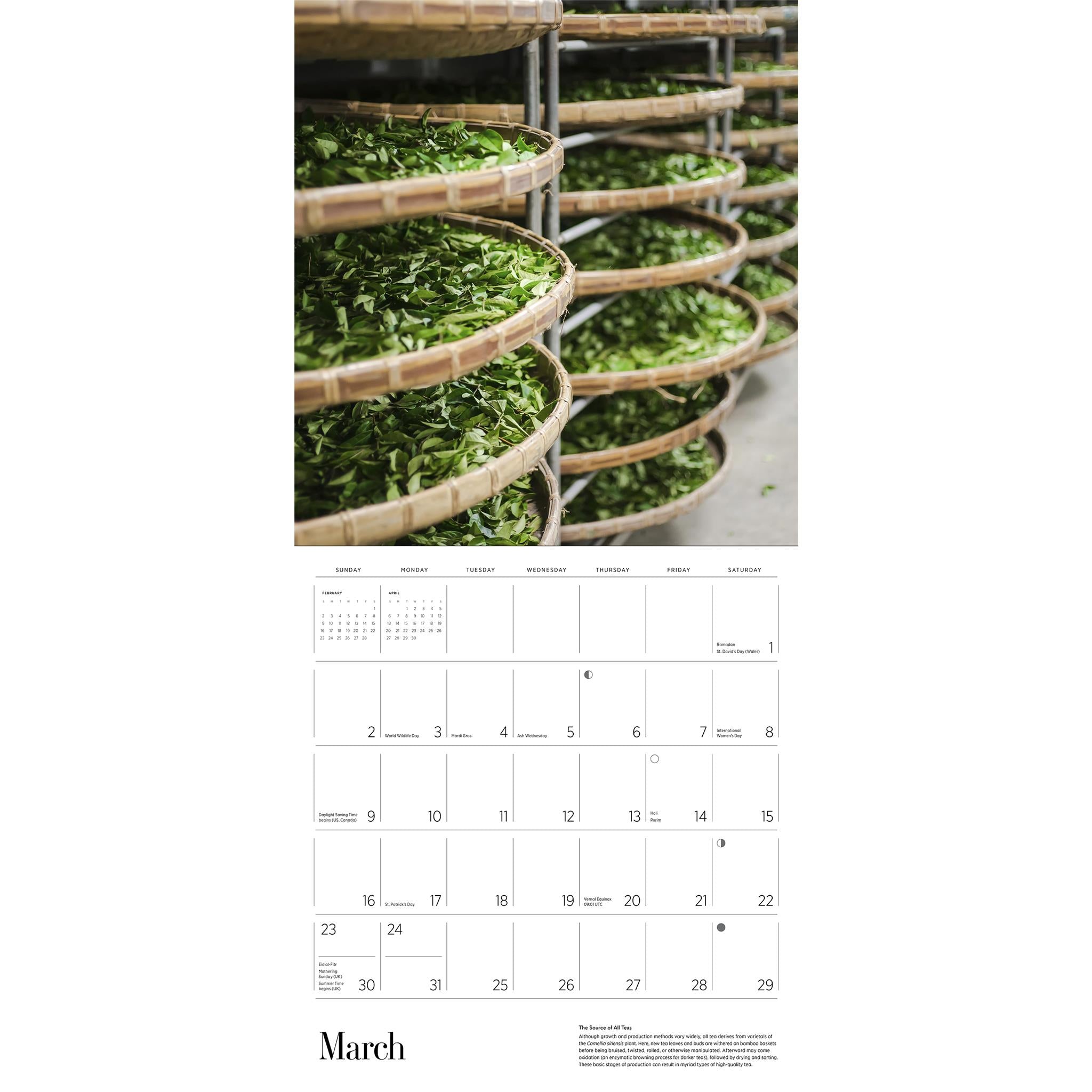 Tea Wall 2025 Calendar - Online Exclusive