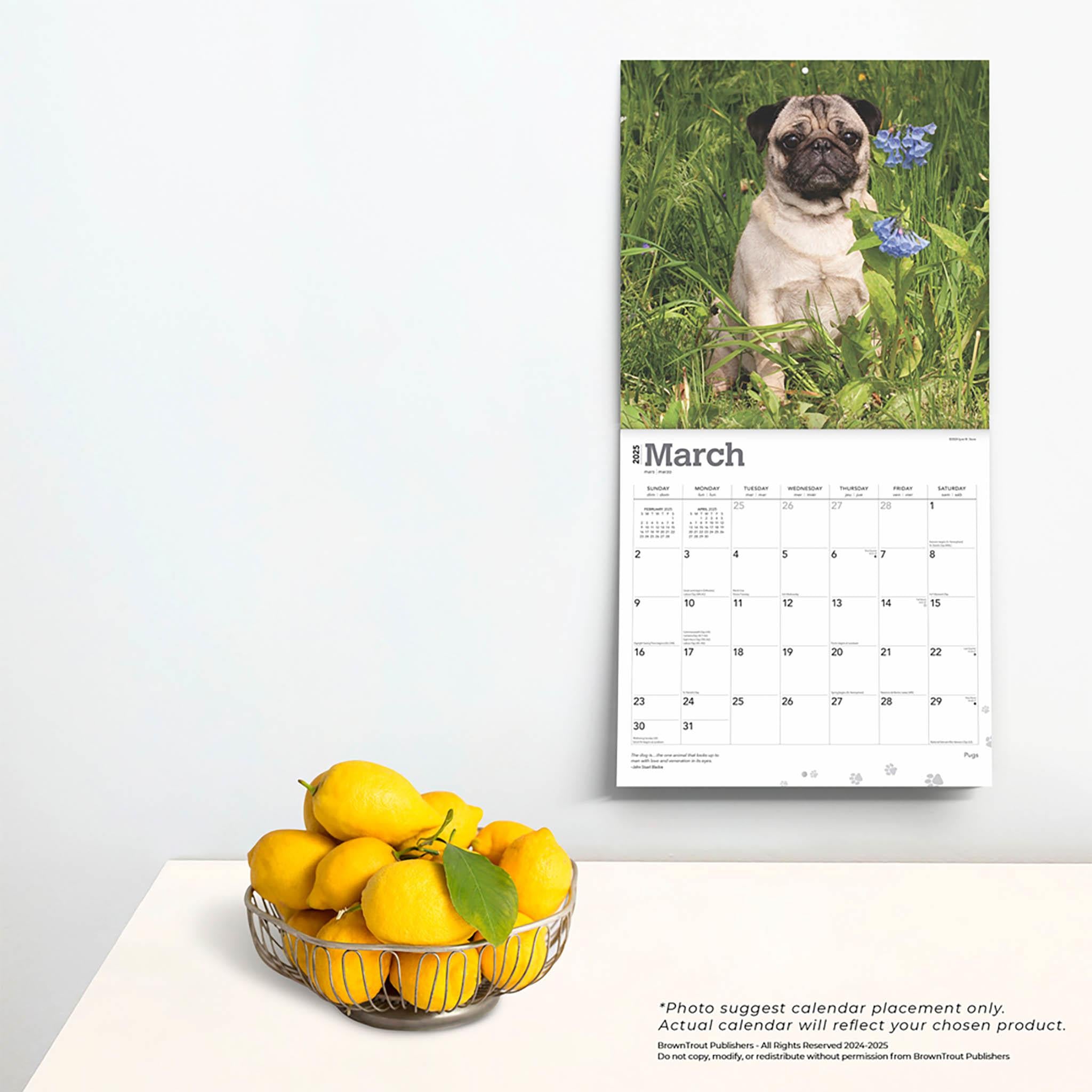 Pugs Wall 2025 Calendar