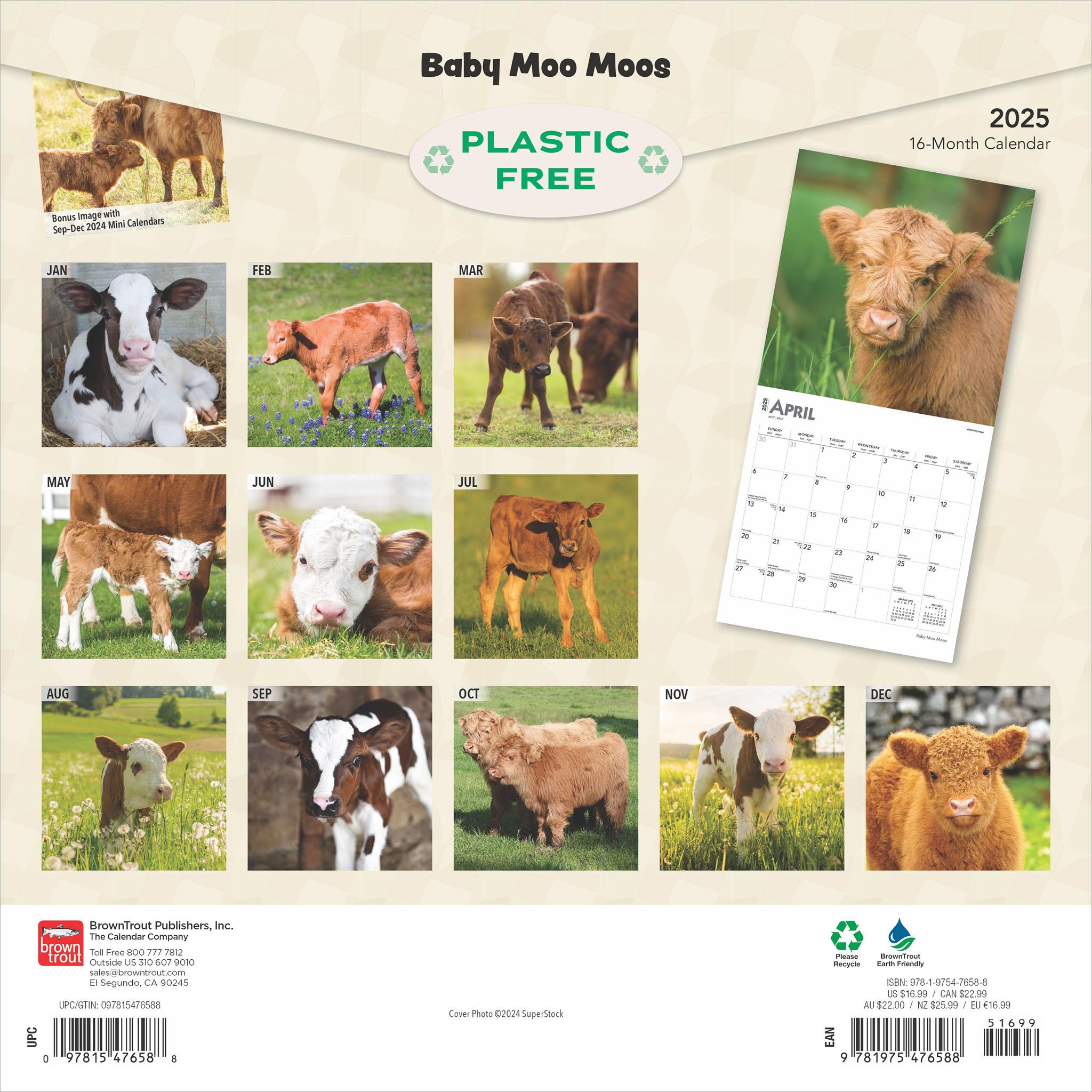 Baby Moo Moos Wall 2025 Calendar - Online Exclusive