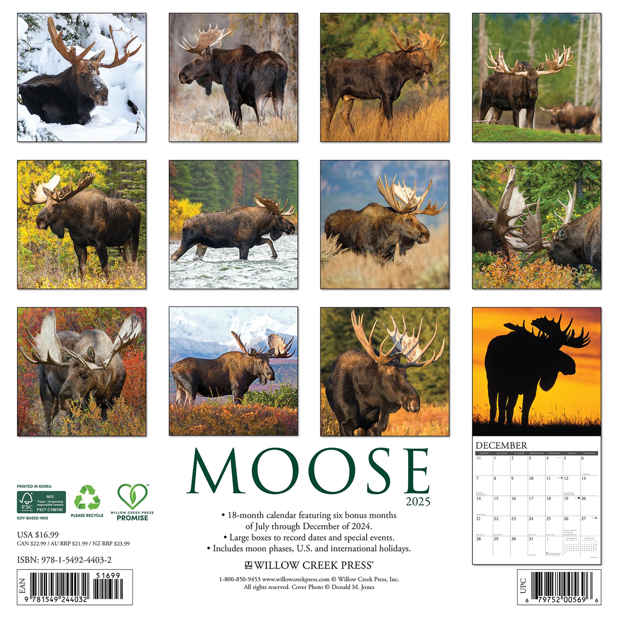 Moose Wall 2025 Calendar - Online Exclusive