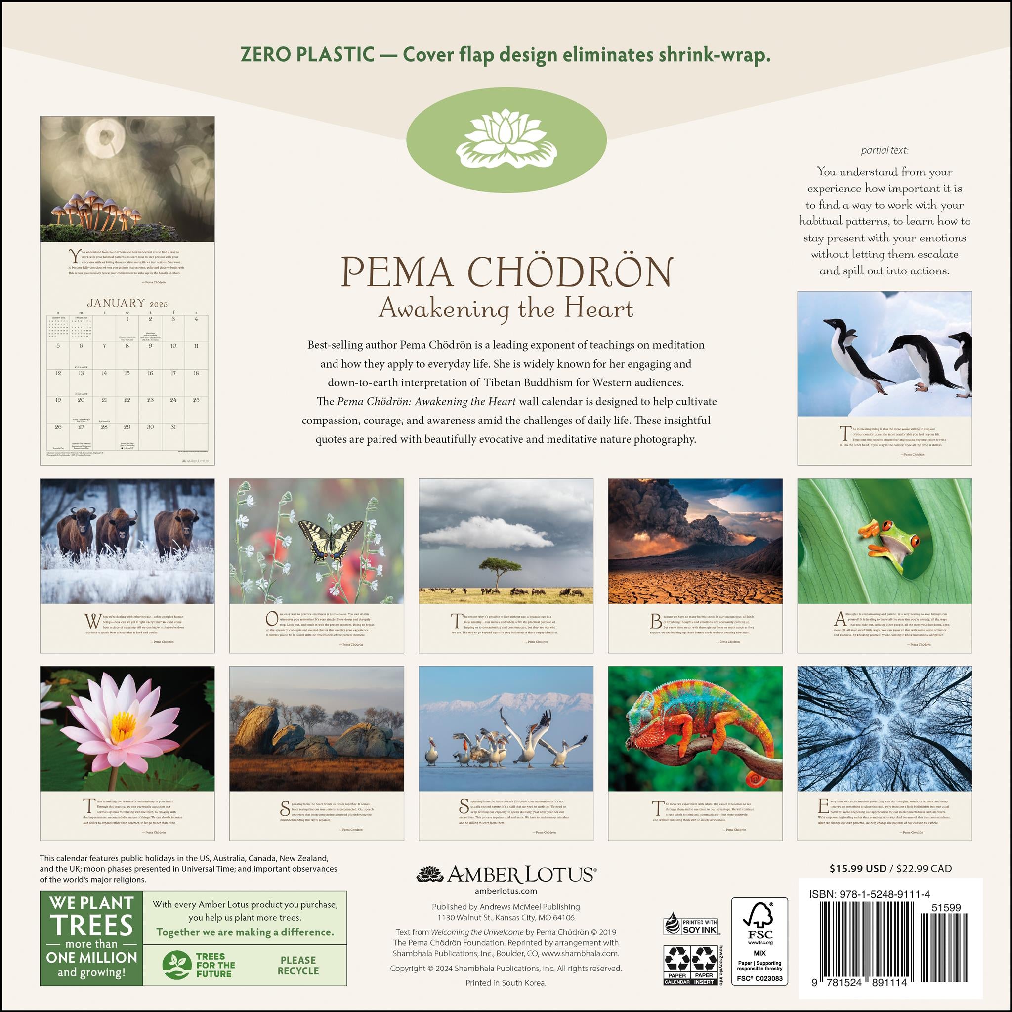 Pema Chodron Awakening The Heart Wall 2025 Calendar - Online Exclusive