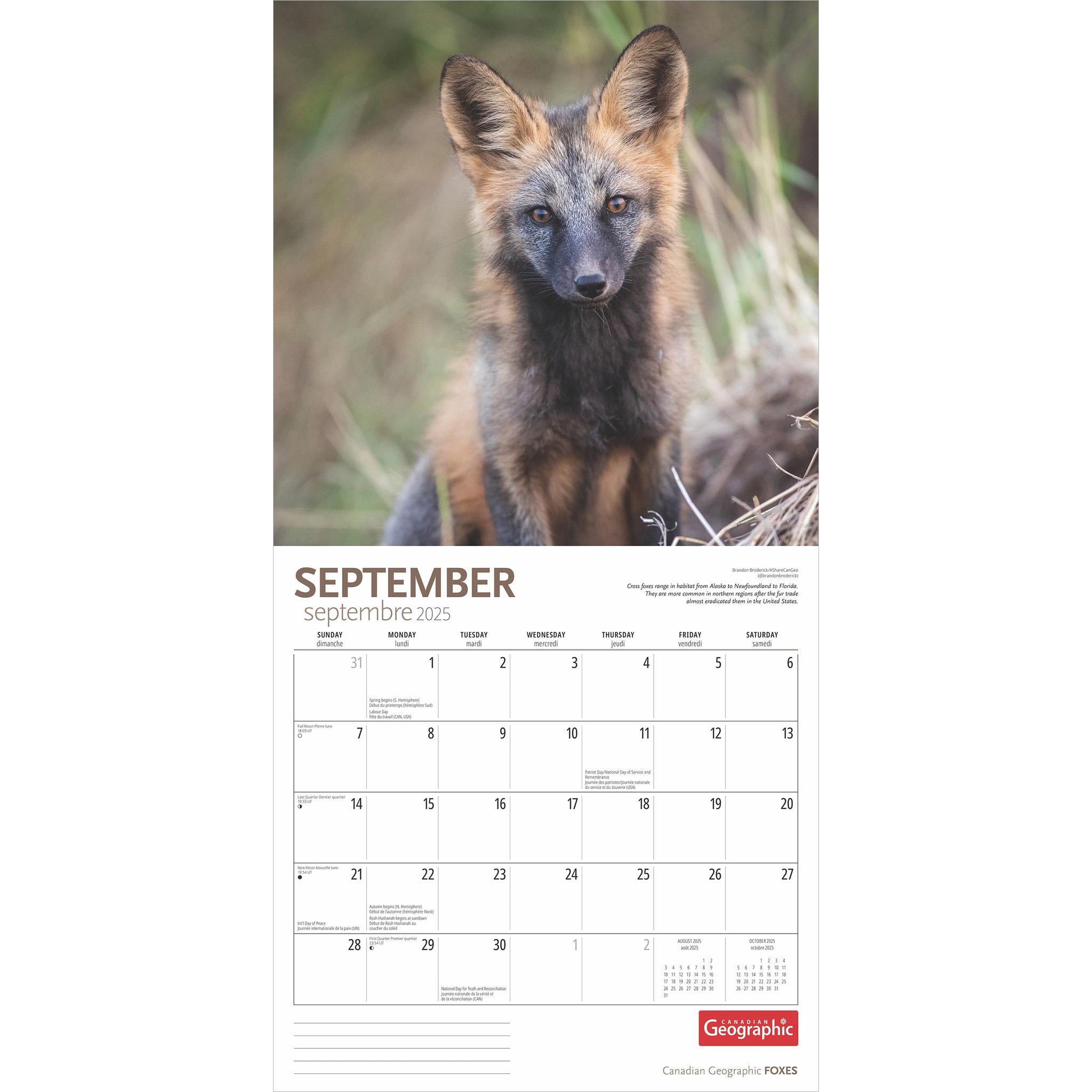 Foxes Canadian Geographic Wall 2025 Calendar - Online Exclusive