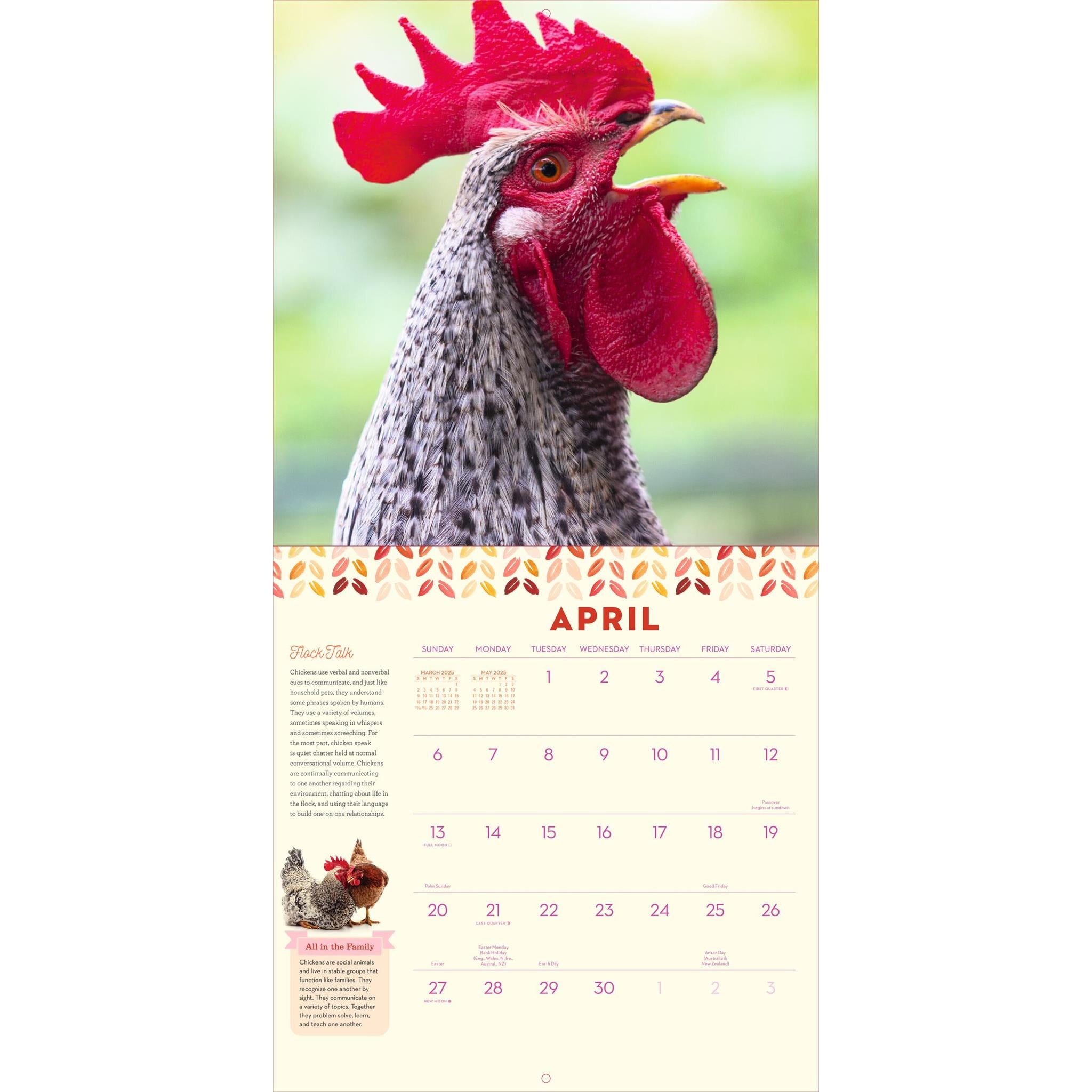 How To Speak Chicken Wall 2025 Calendar - Online Exclusive