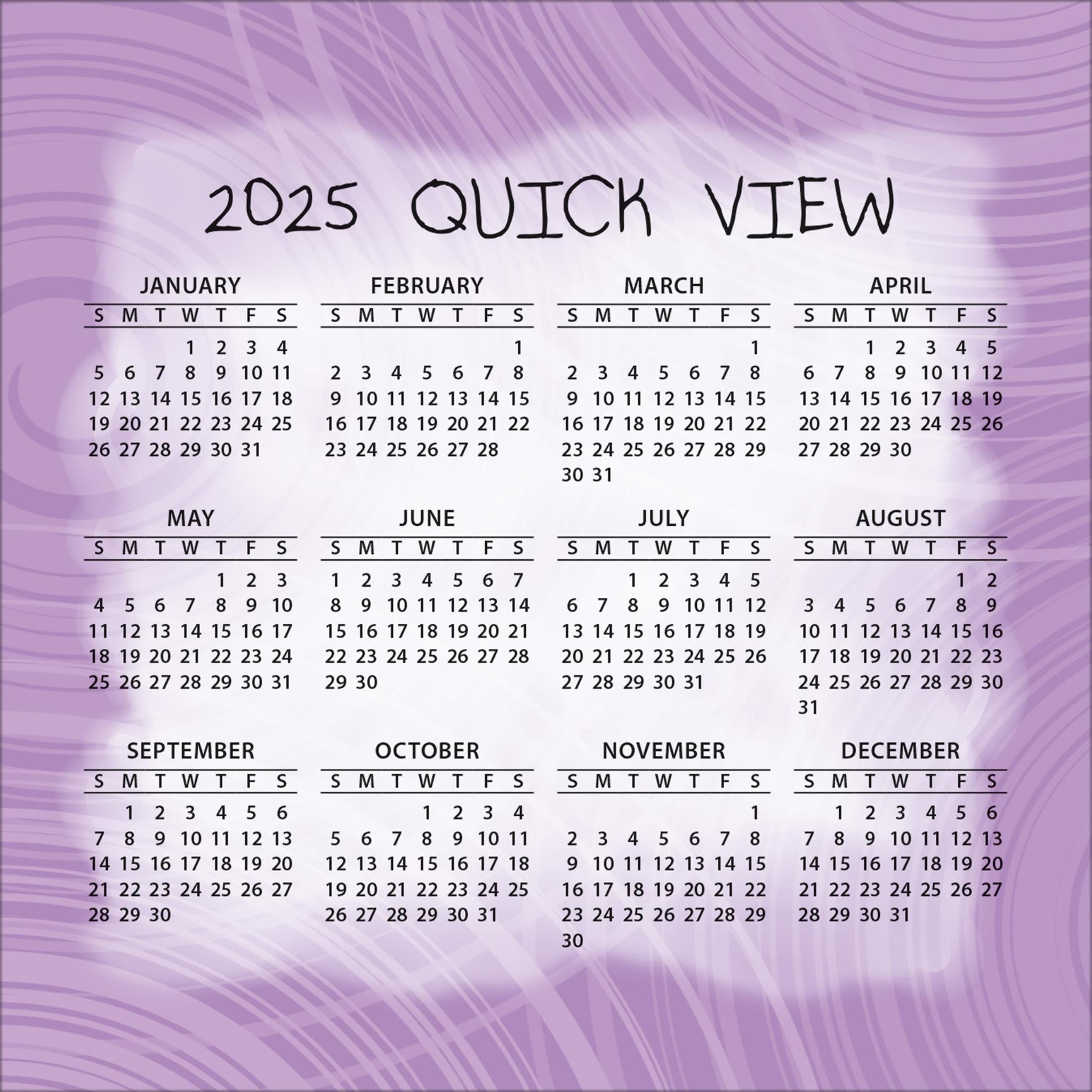 Sketchy Chics Box 2025 Calendar - Online Exclusive