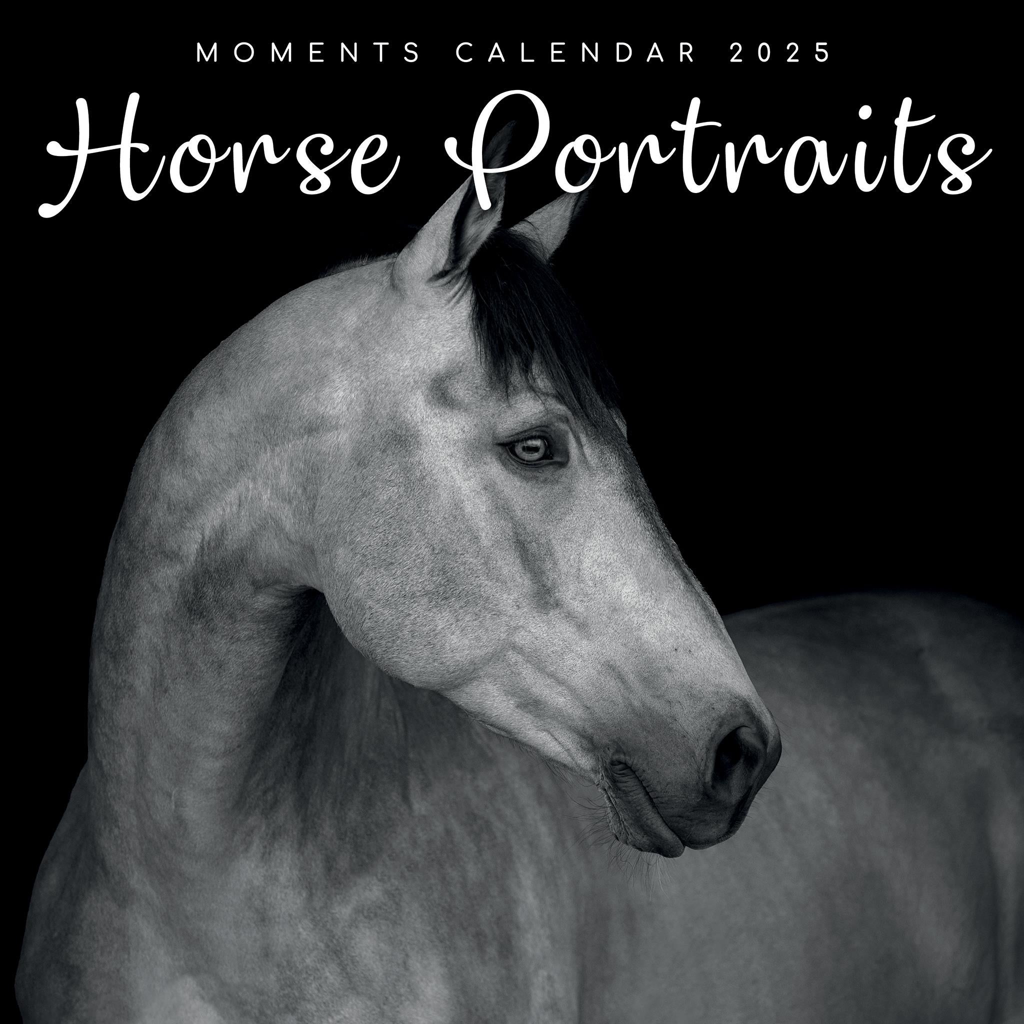 Horse Portraits Wall 2025 Calendar