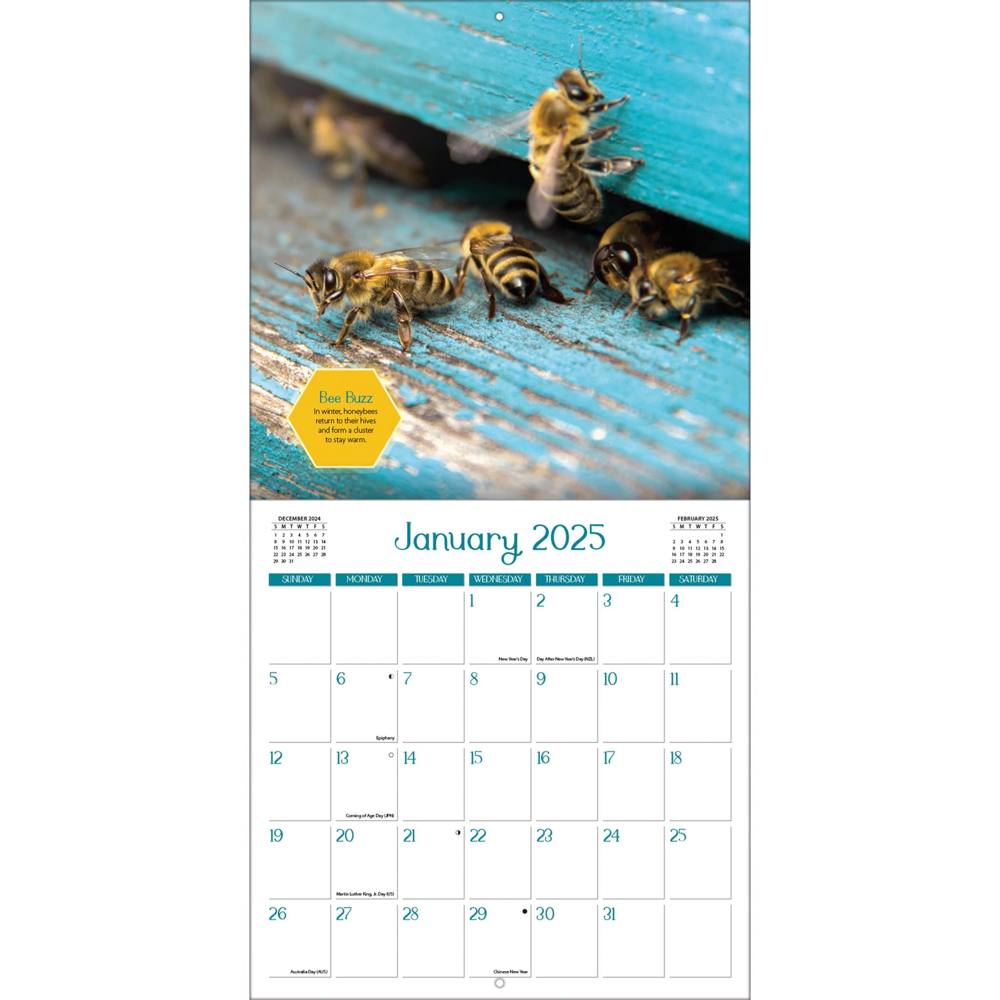 Busy Bees Wall 2025 Calendar