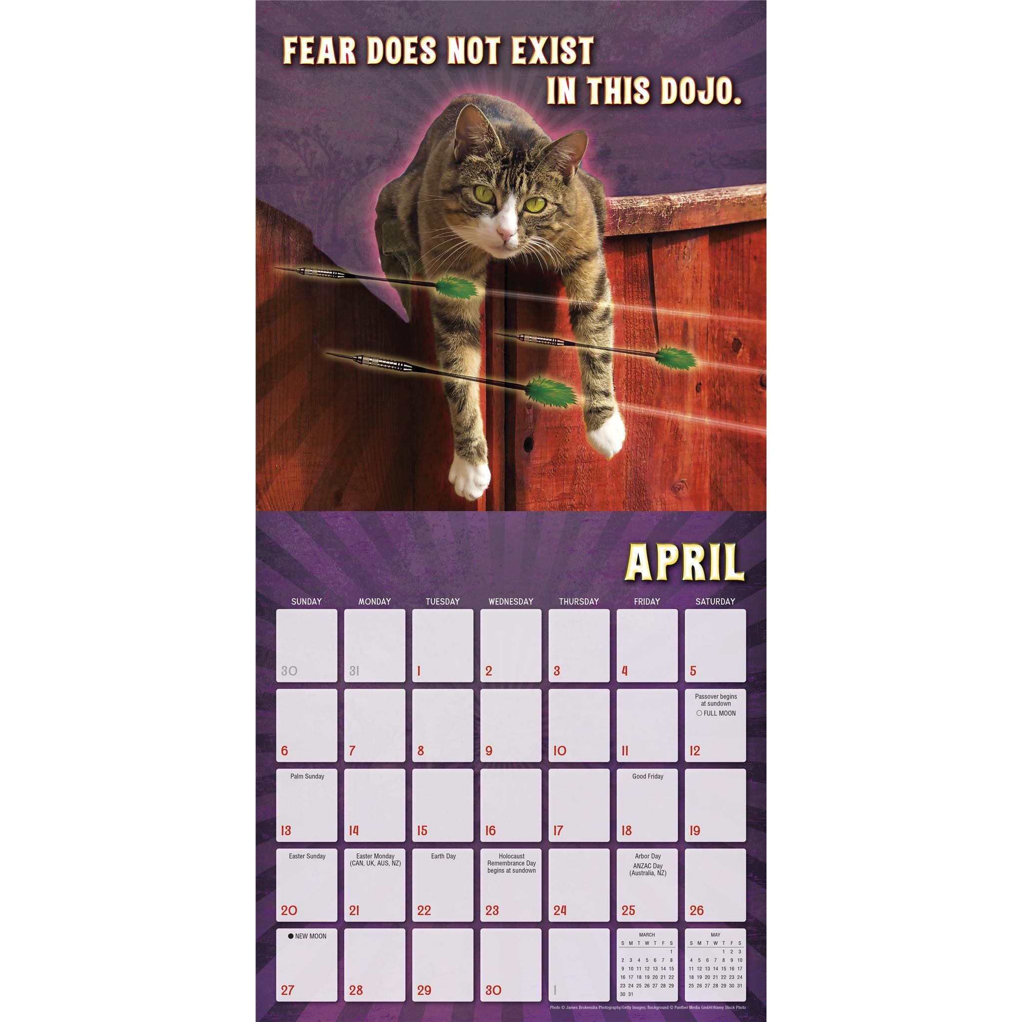 Karate Kat Wall 2025 Calendar - Online Exclusive