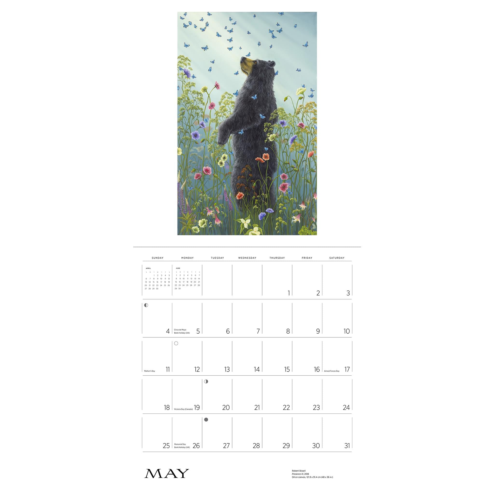 Spirit The Paintings Of Robert Bissell Wall 2025 Calendar