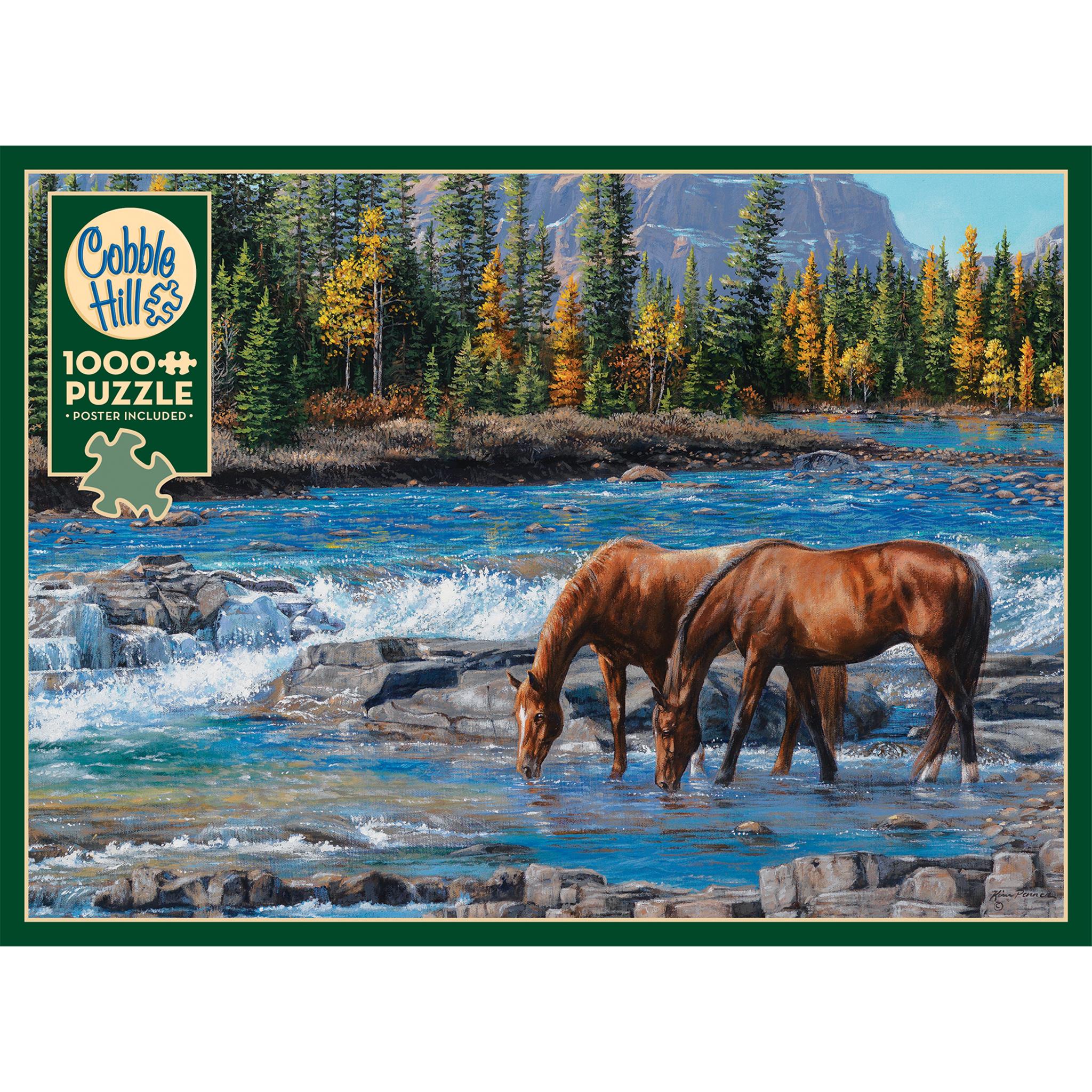 On the Rocks 1000 Piece Puzzle Cobble Hill