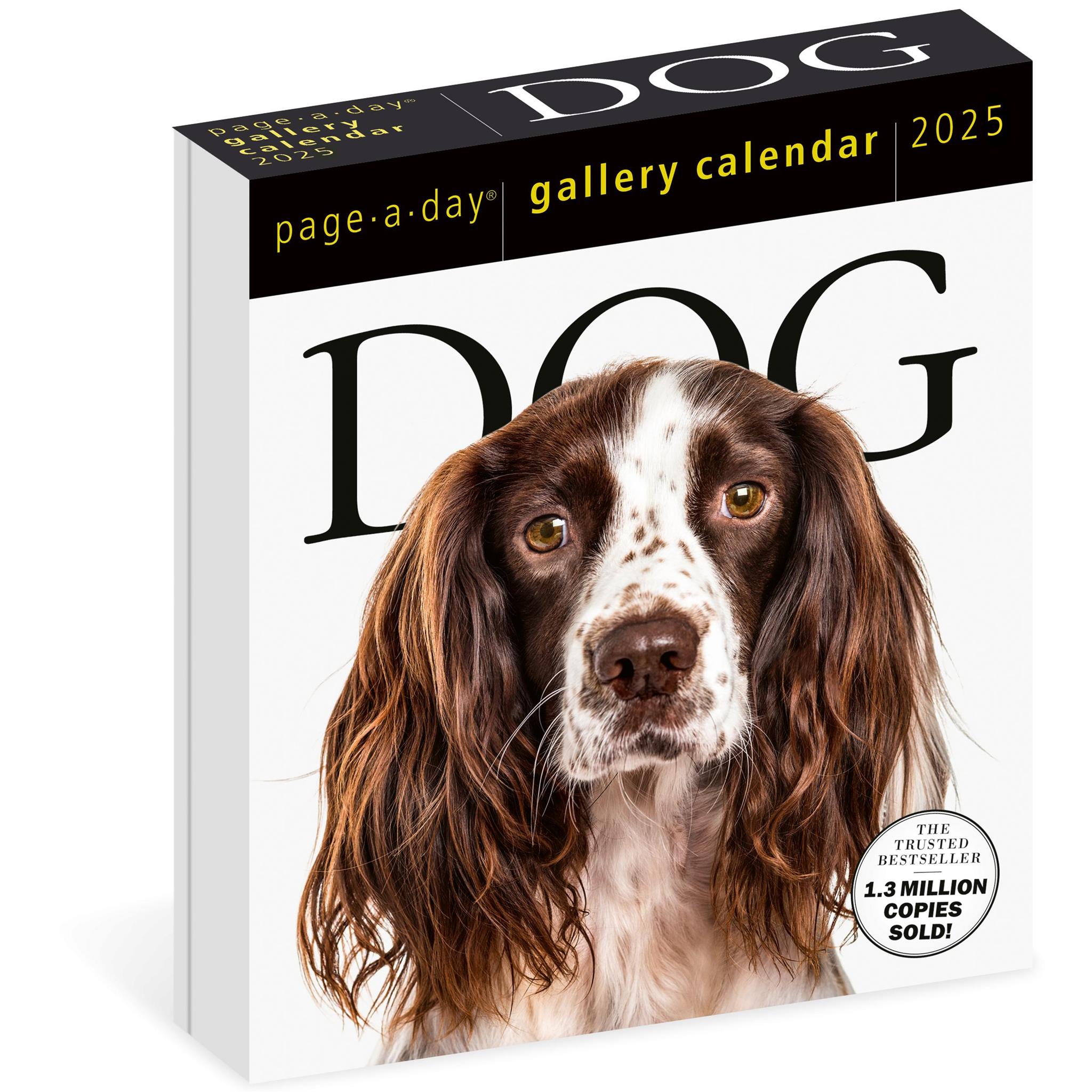 Dog Gallery Box 2025 Calendar