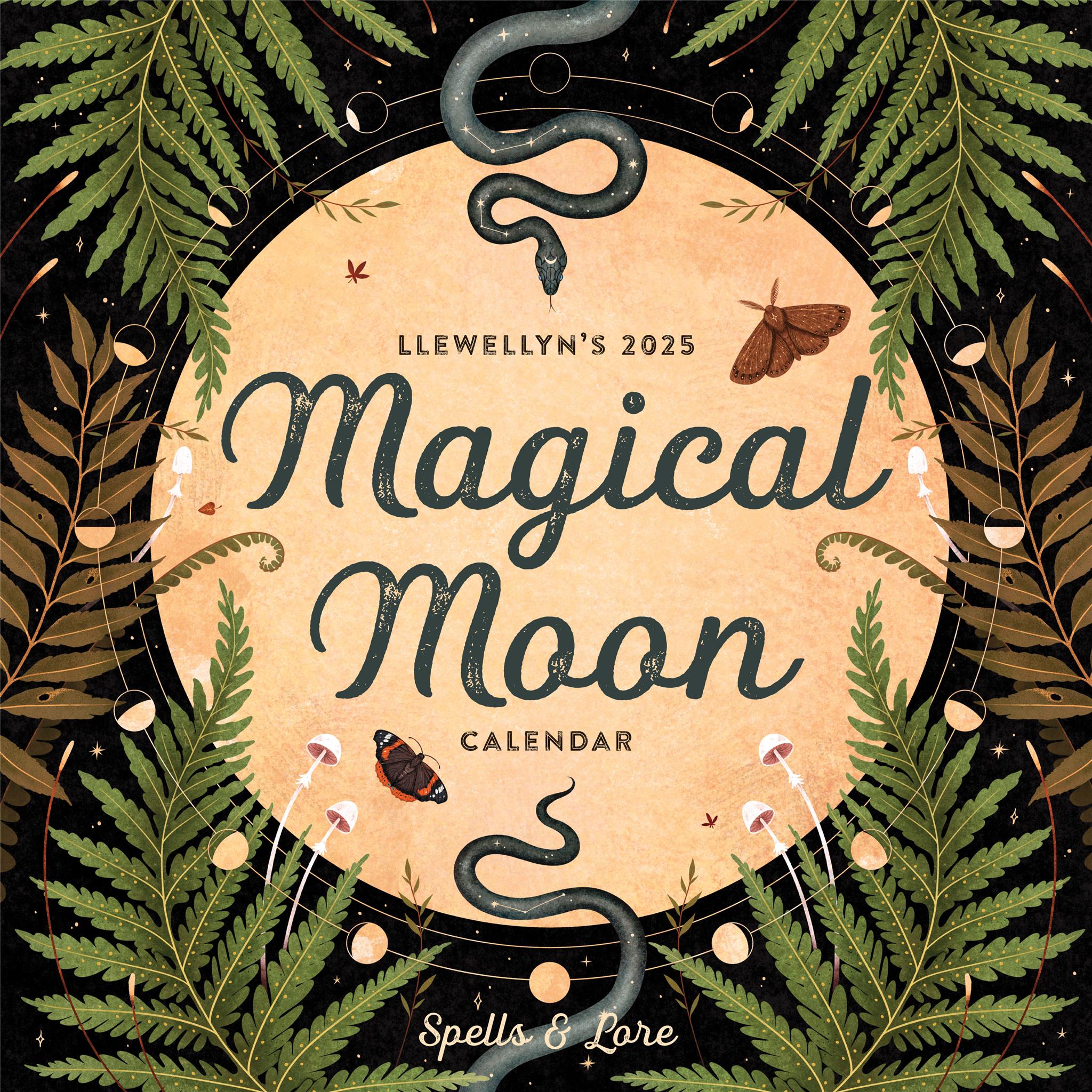 Magical Moon Wall 2025 Calendar - Online Exclusive