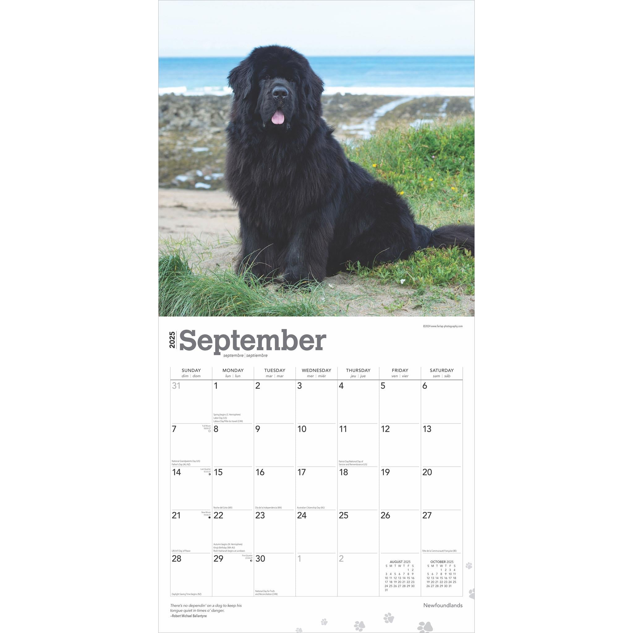 Newfoundlands Wall 2025 Calendar