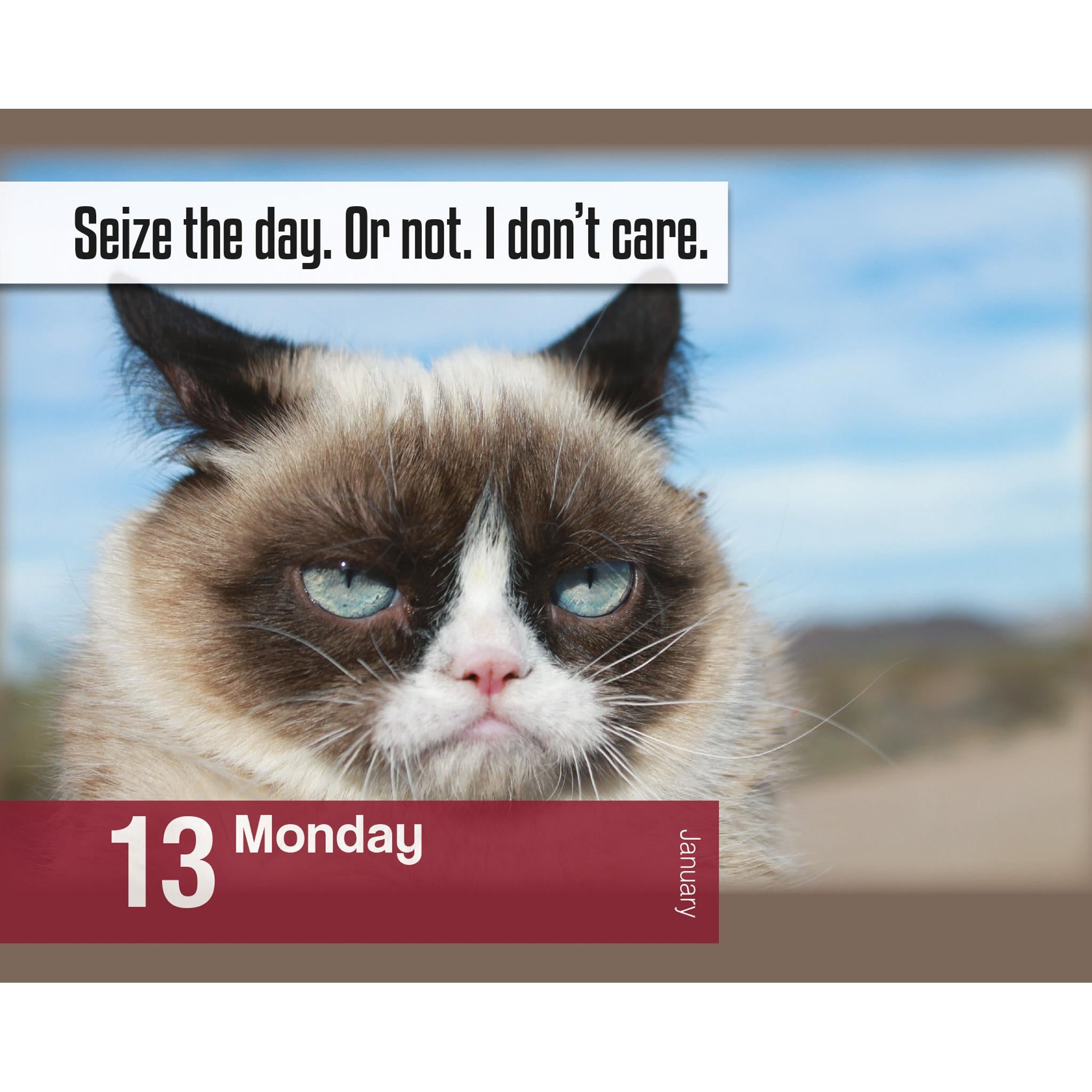 Grumpy Cat Box 2025 Calendar