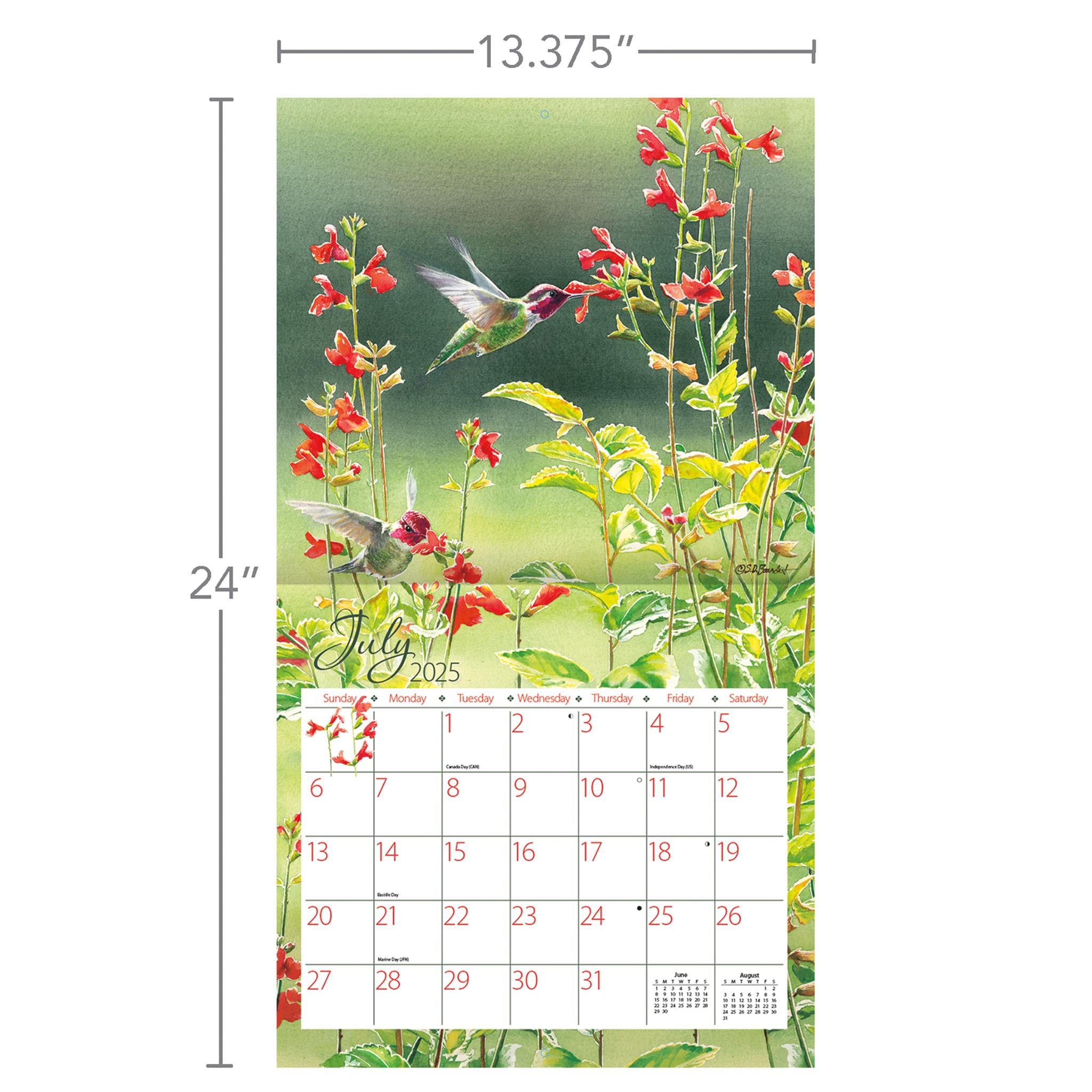 Hummingbirds Wall 2025 Calendar - Online Exclusive