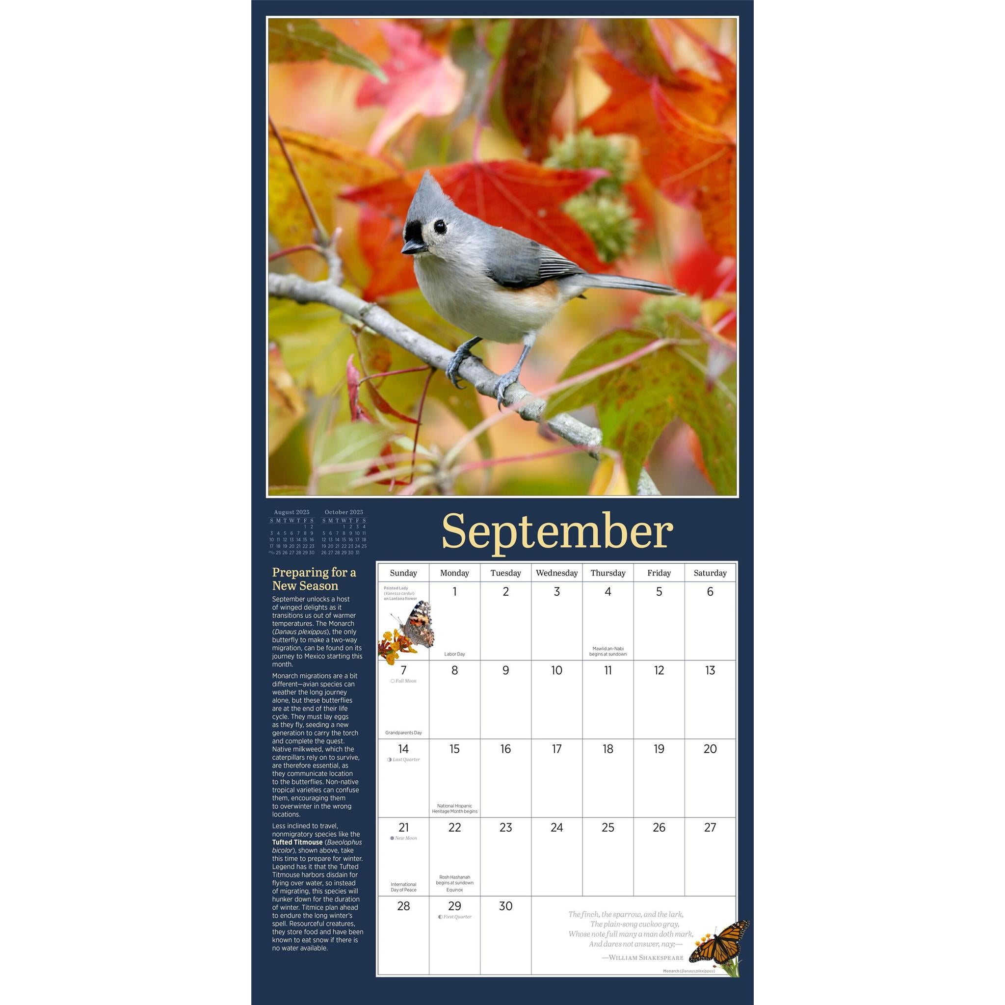 Audubon Birds In The Garden Wall 2025 Calendar