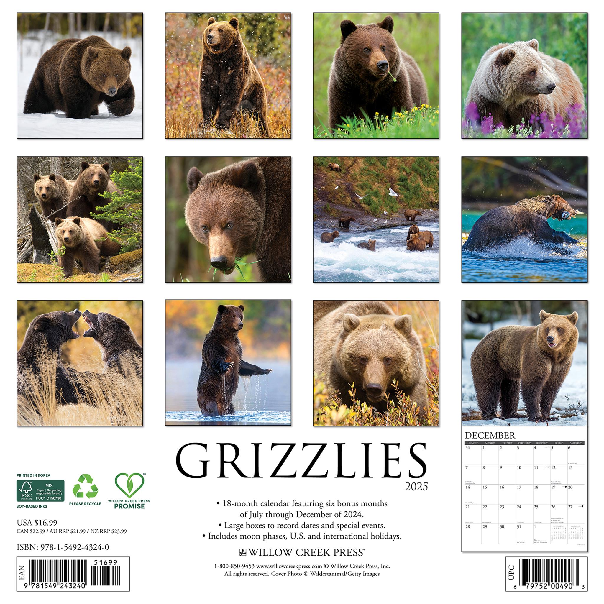 Grizzlies Wall 2025 Calendar