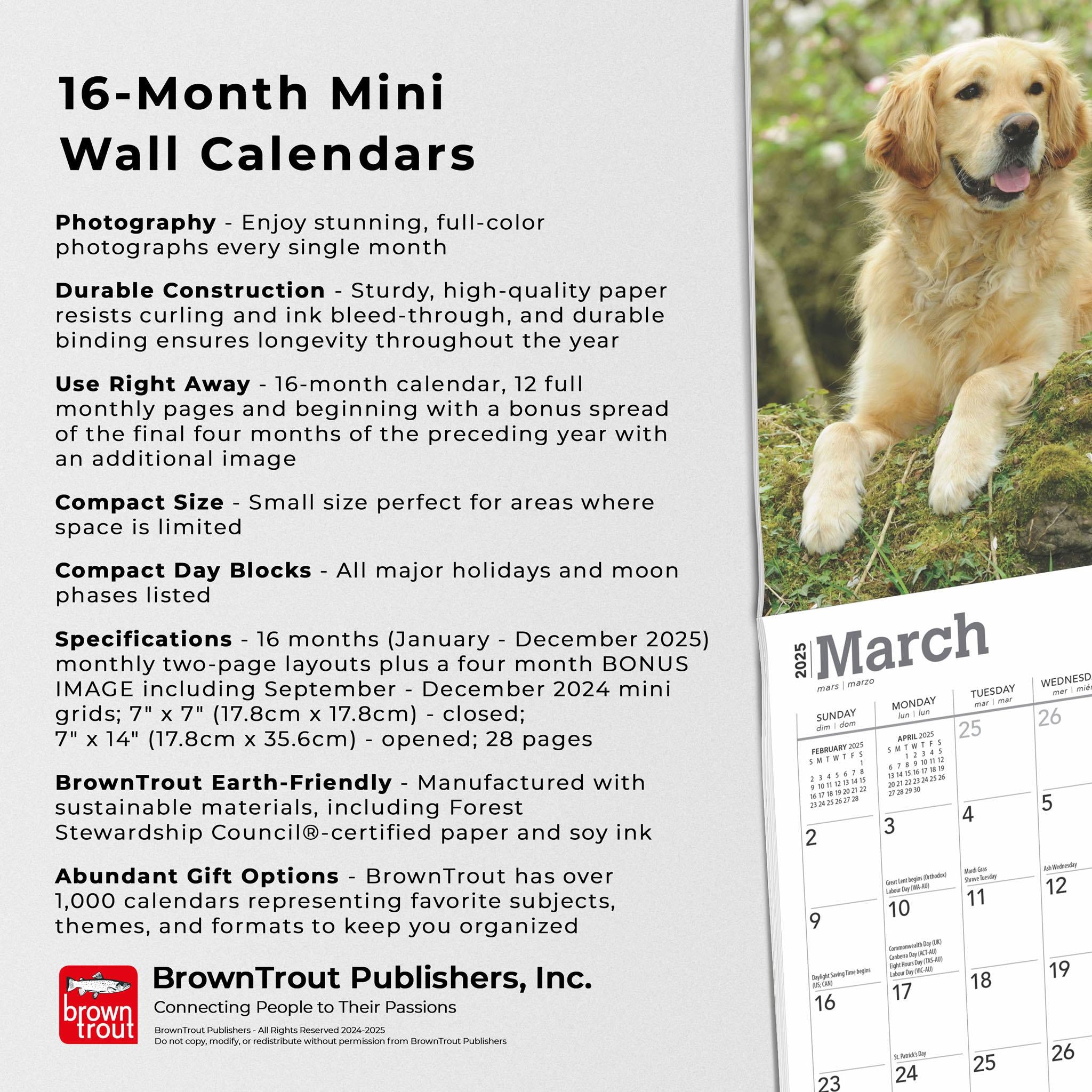 Golden Retrievers Mini 2025 Calendar - Online Exclusive