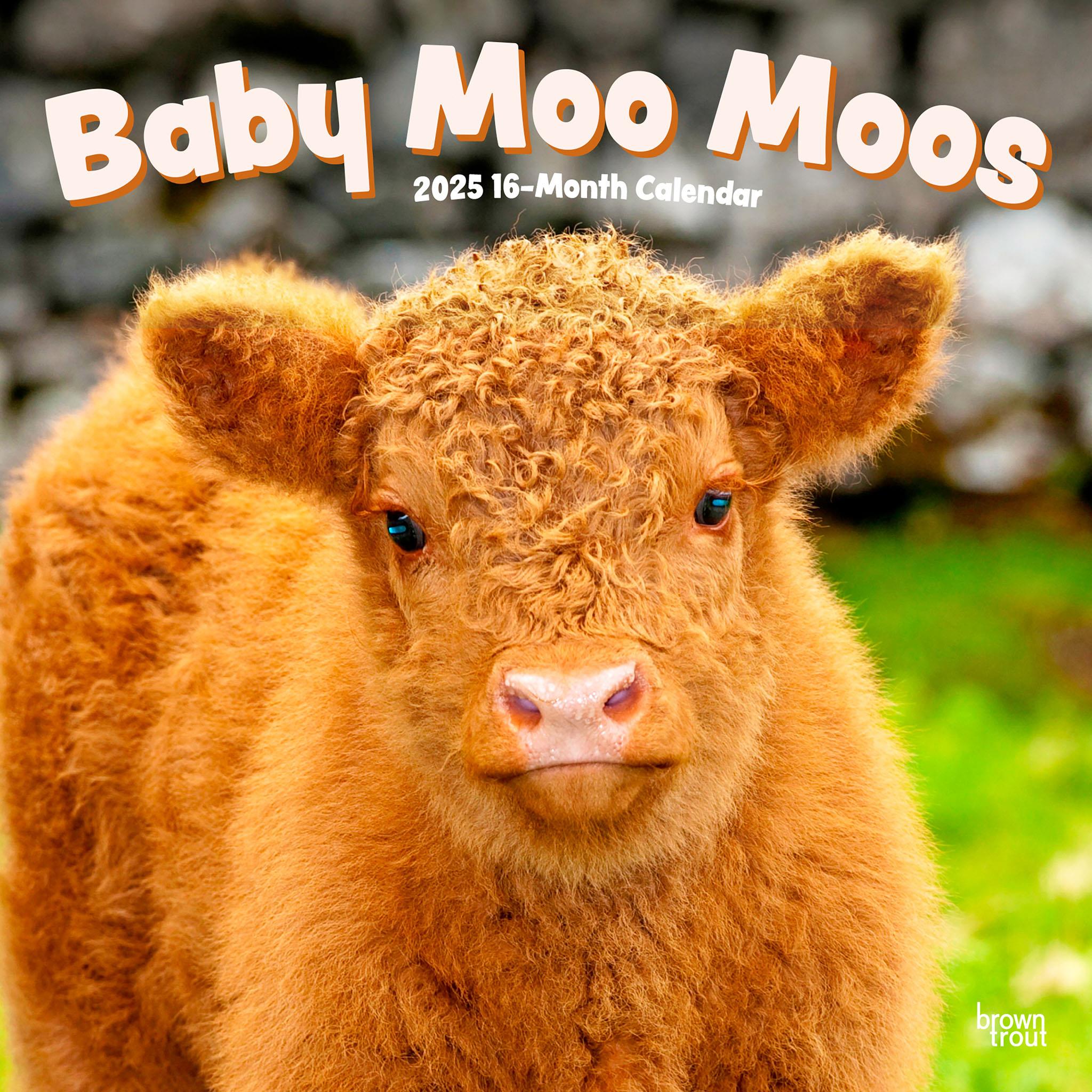 Baby Moo Moos Wall 2025 Calendar - Online Exclusive