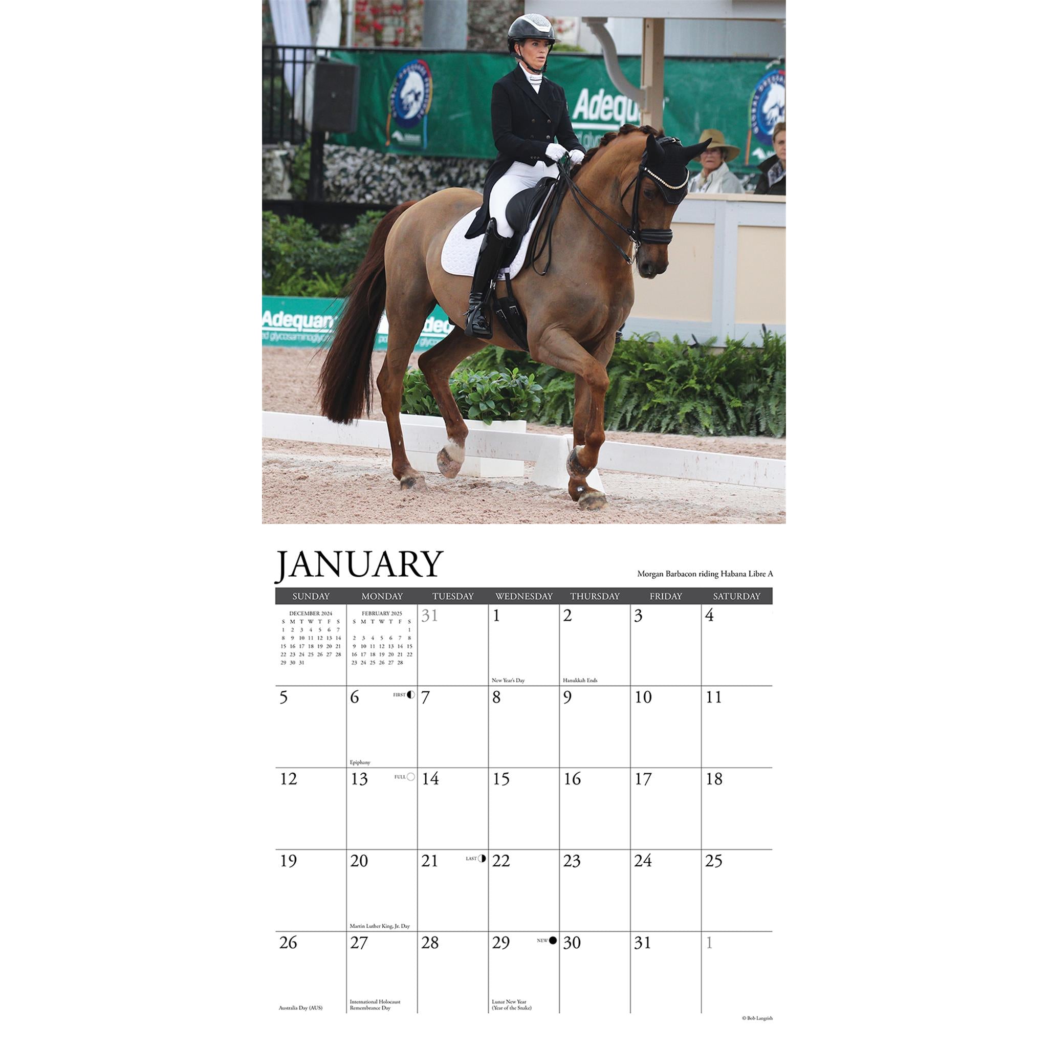 Dressage Wall 2025 Calendar - Online Exclusive